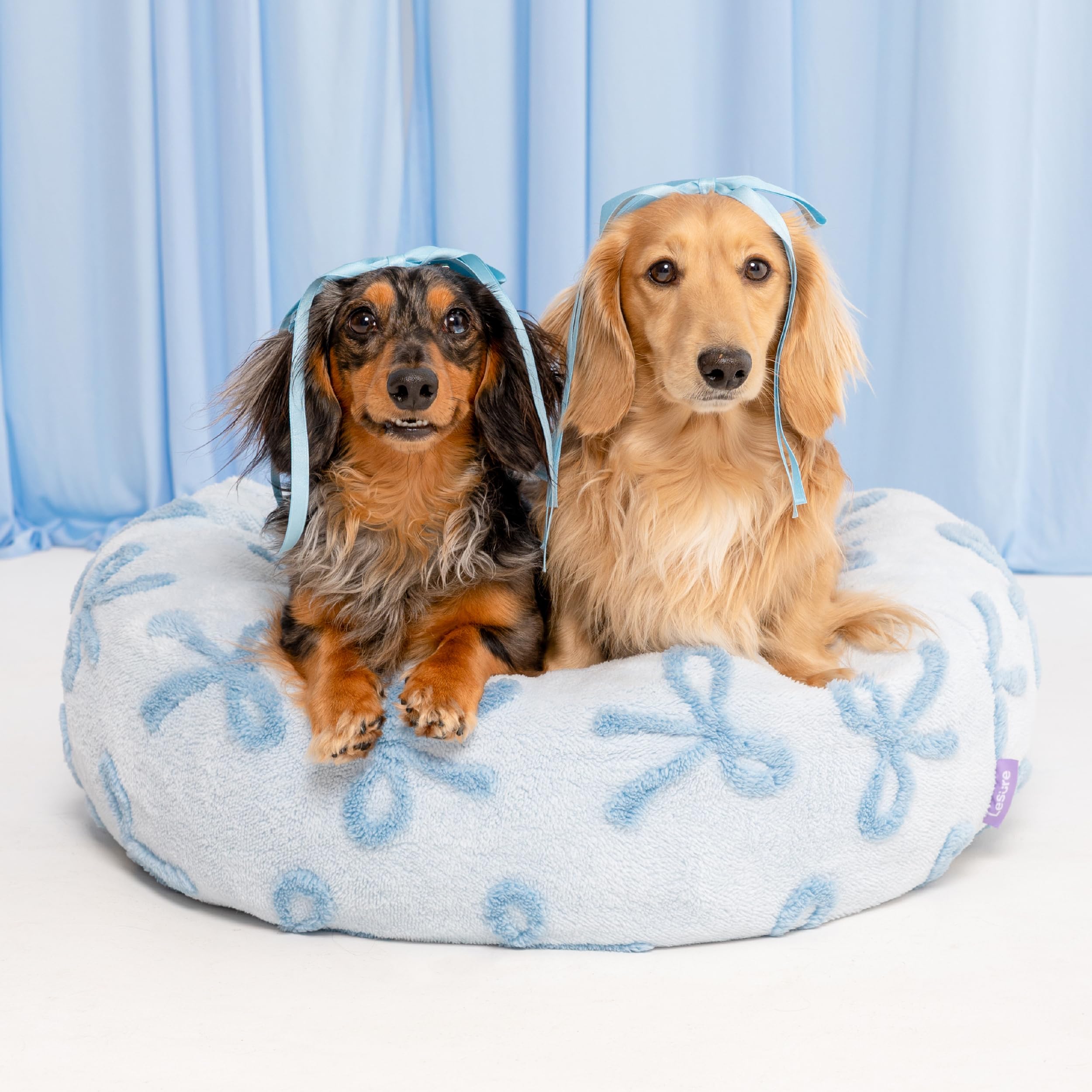 Lesure Donut Medium Dog Bed - Round Cat Beds For Indoor Cats Calming Pet Beds, Cute Modern Beds With Jacquard Shaggy Plush & Ant