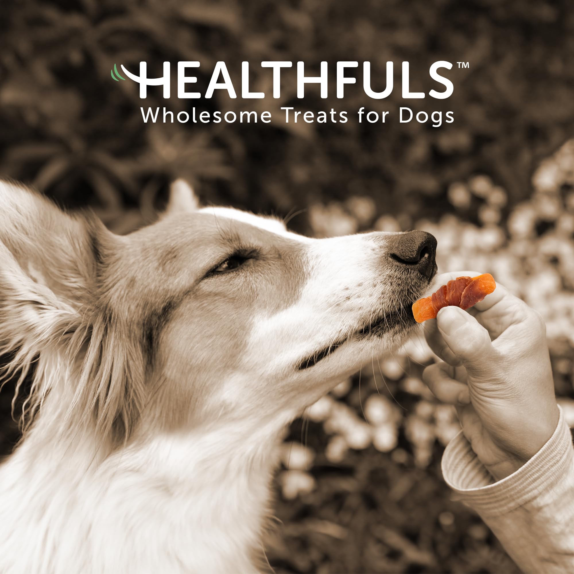 HEALTHFULS Chicken Wrapped Sweet Potato Dog Treats, 16oz, 1lb, Brown