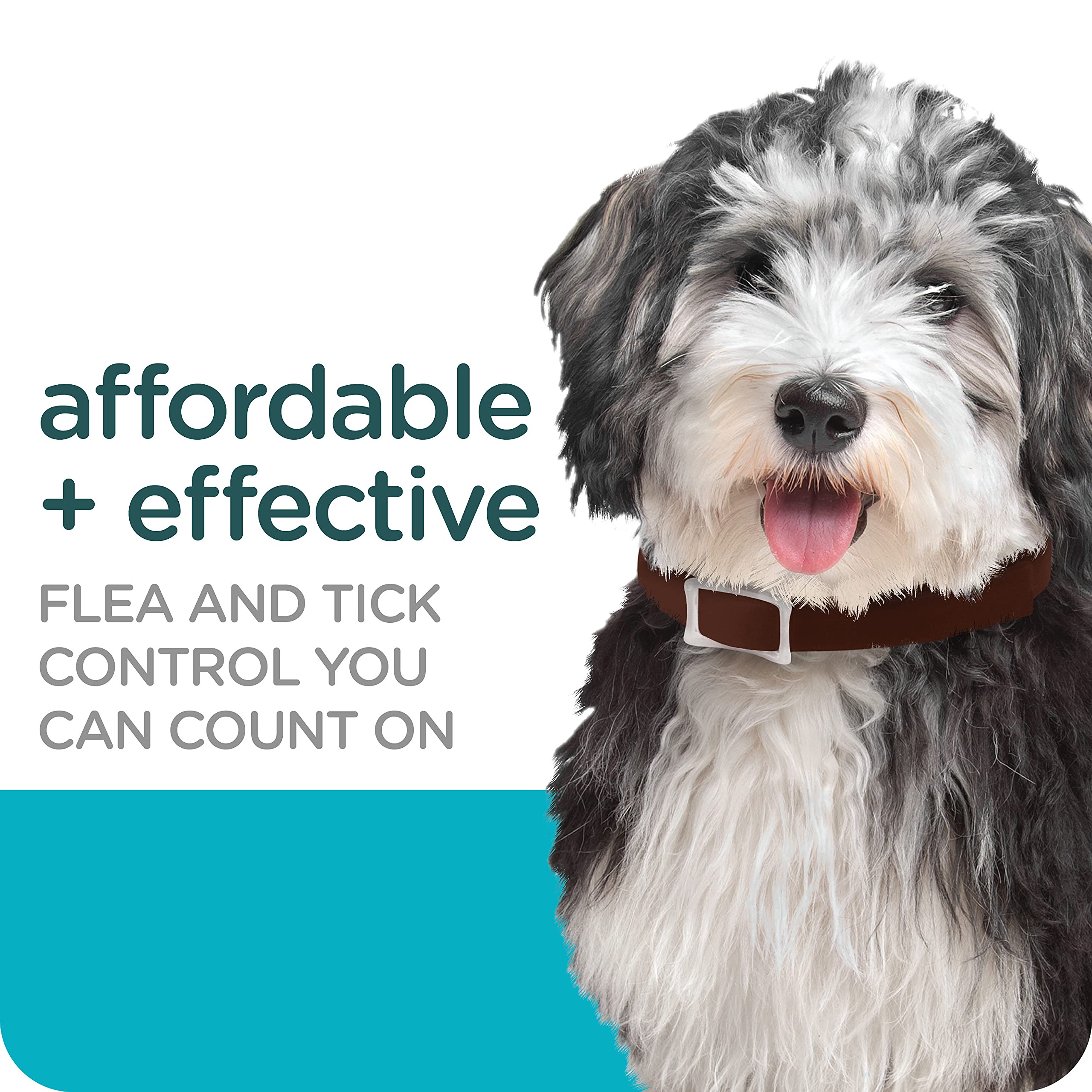 SERGEANT'S Guardian Flea & Tick Collar for Dogs, All Life Stages, Model 00126, 1 Count