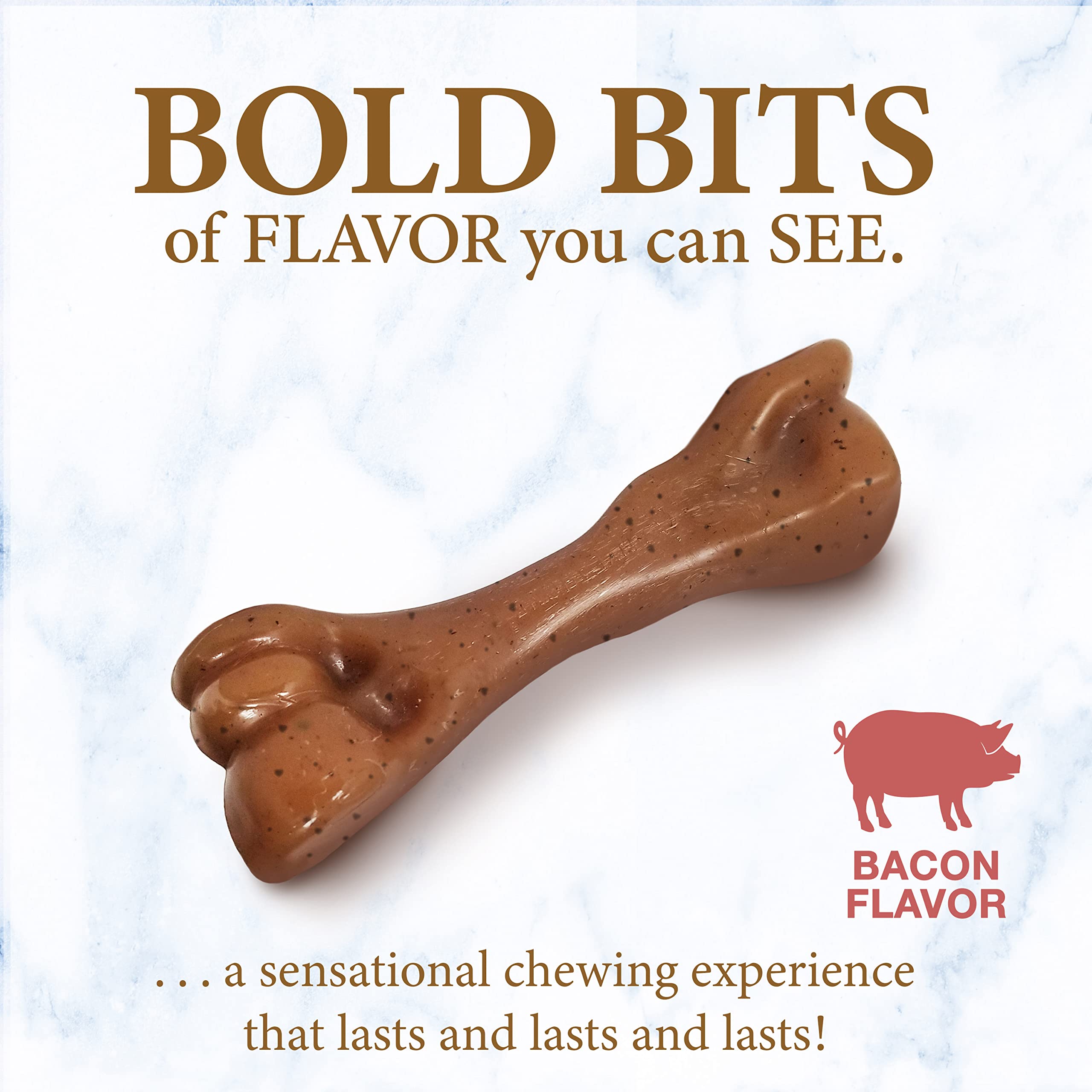 Nylabone Puppy Gourmet Style Strong Chew Toy Bacon Small/Regular (1 Count)