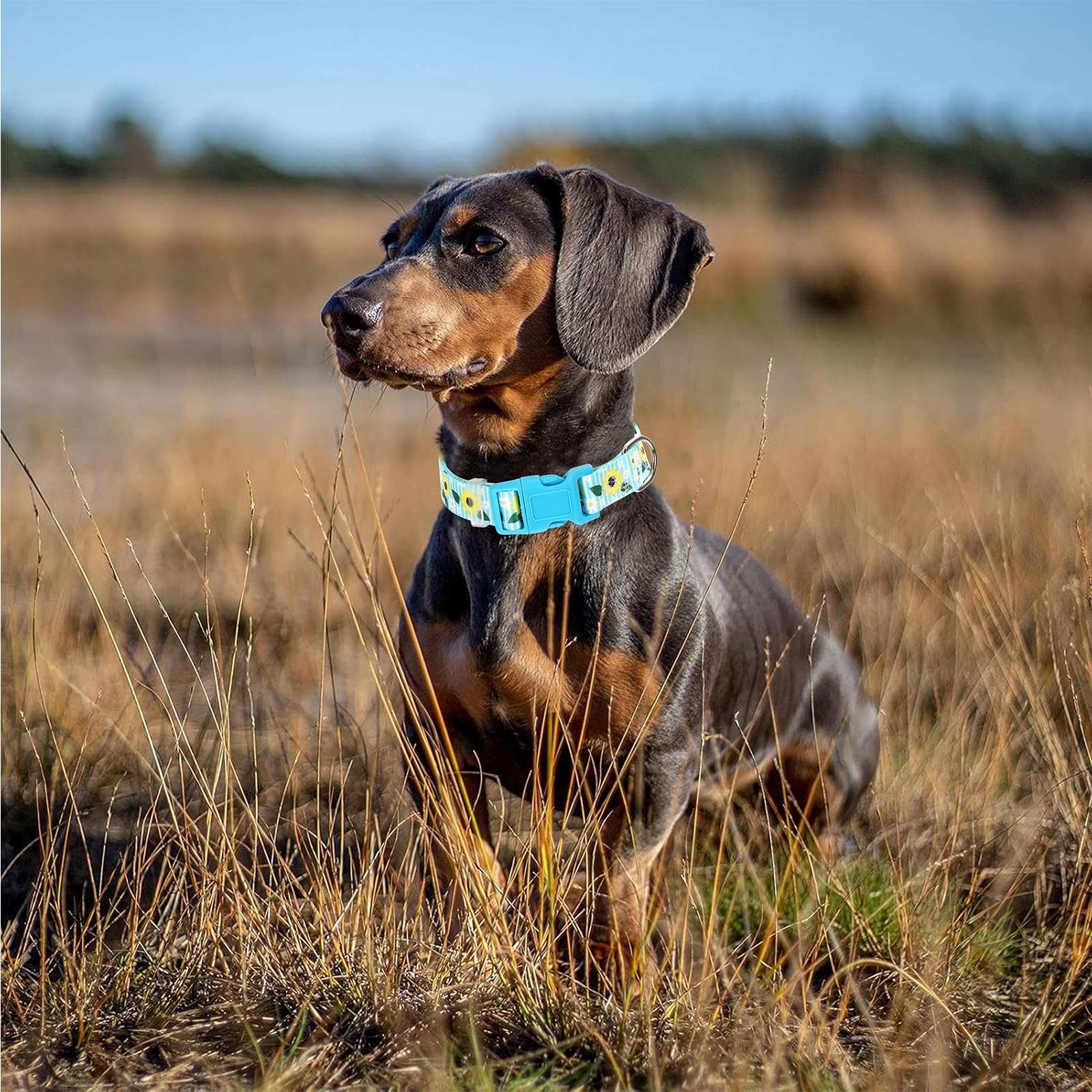 Onefojojo Sunflower Floral Dog Collar - Soft Nylon Adjustable Collar For Large Dogs, Quick-Release Buckle, Durable Pet Collar Fo