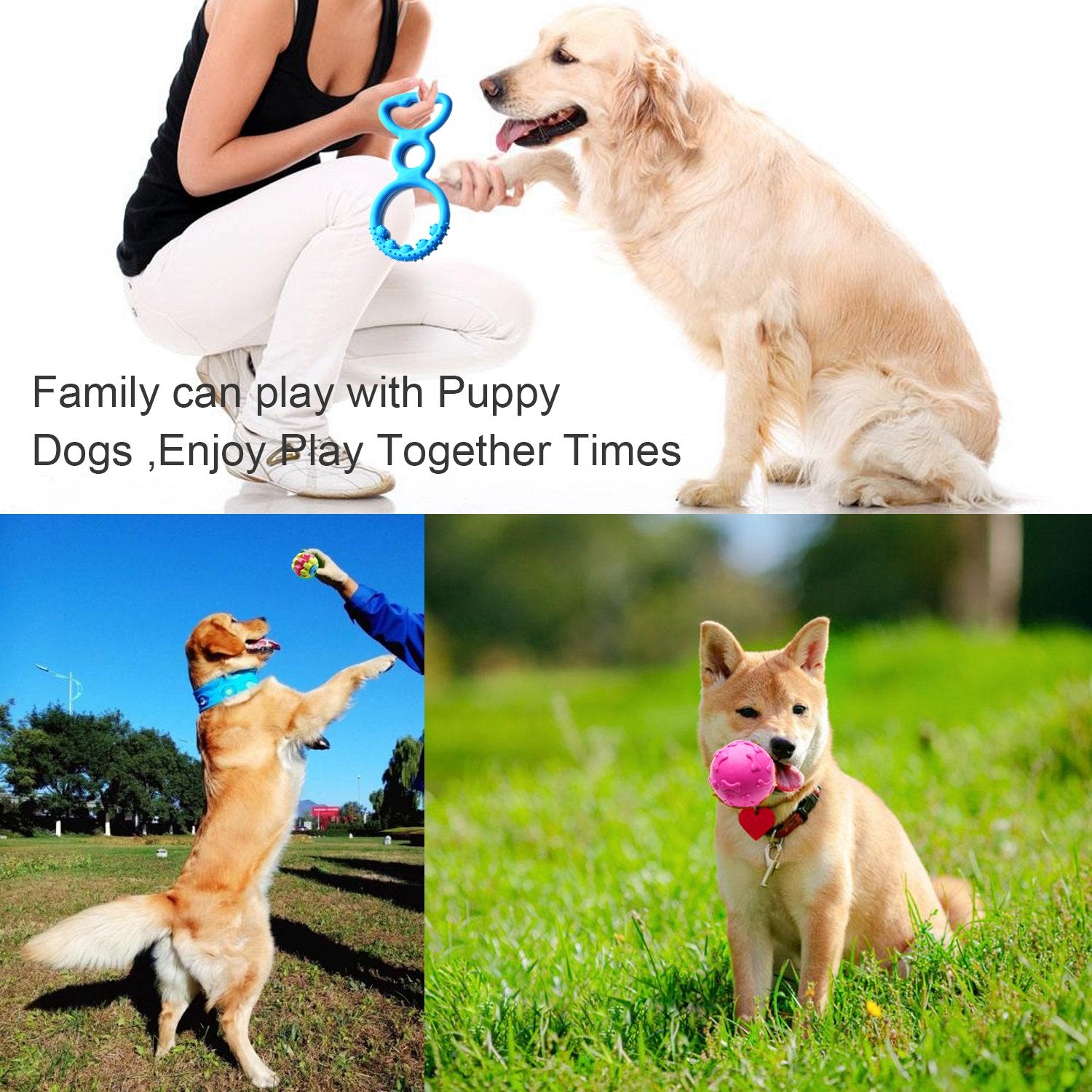 Szkokuho Small Dogs Puppy Chew Toys 17Pack Cute Variety Shape Multi Colors Designs To Bite Anytime Enjoy Teething Toys Training Supplies