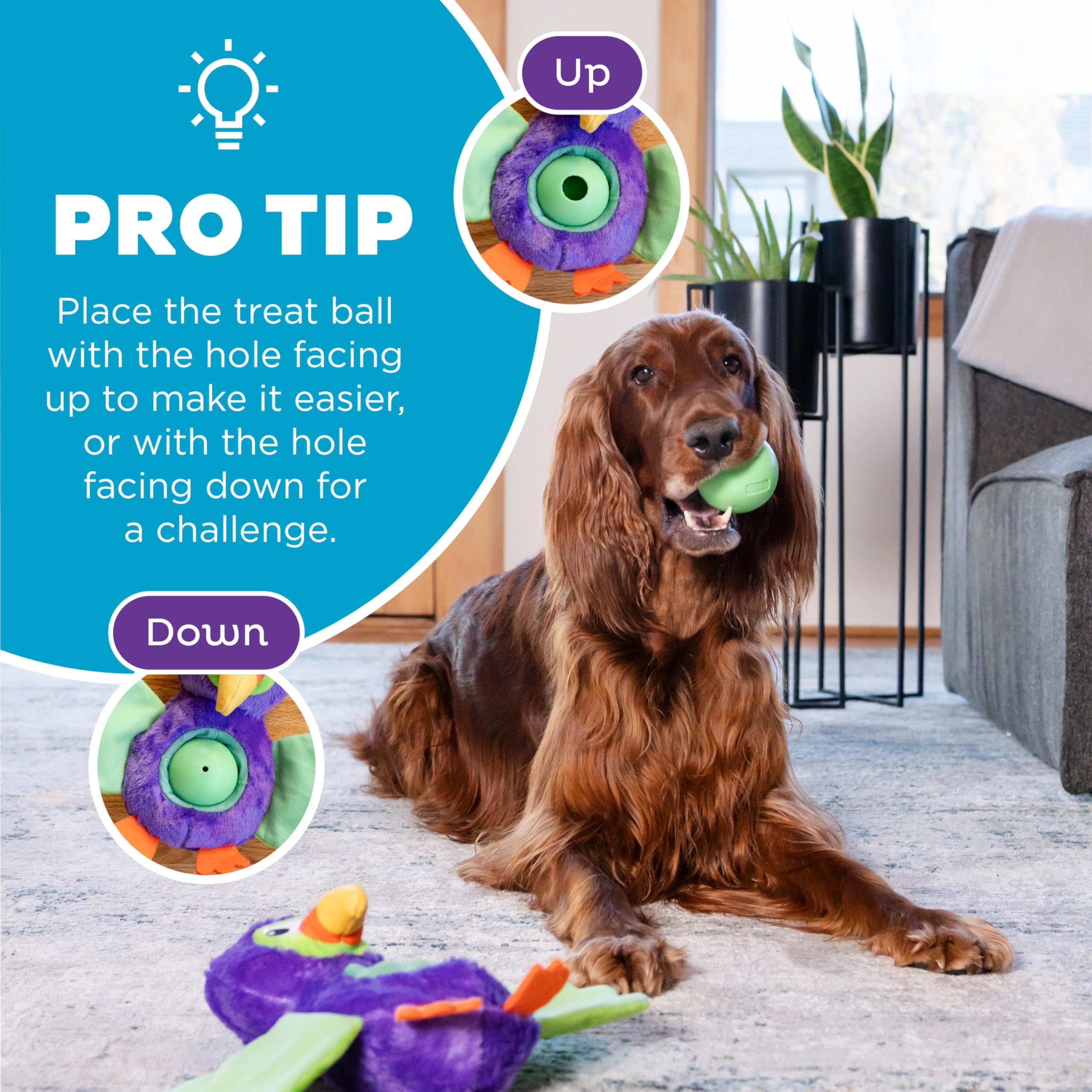 Outward Hound Hide-Ablez Plush Dog Puzzle Toy with Treat Ball, Toucan Model 71488, Multicolored