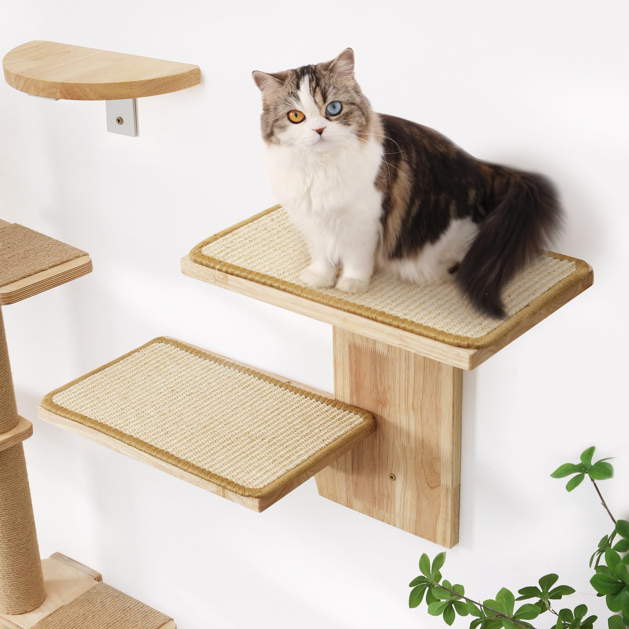FUKUMARU Cat Wall Shelves, 2 Platform Cats Walls Furniture, Tree Shape Kitten Floating Shelf with Soft Cushion Perch, Solid Rubb