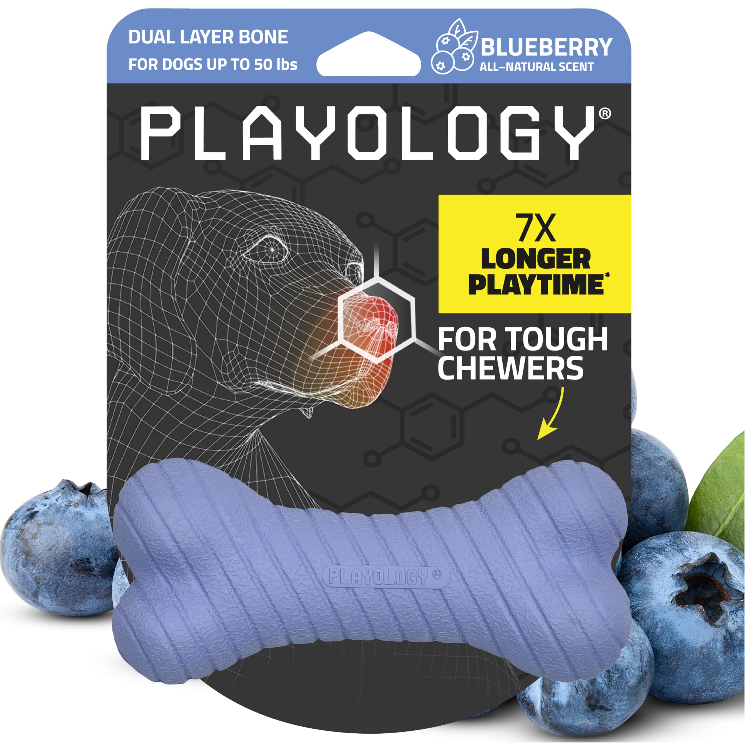 Playology Dog Toys | Dual Layer Bone Durable Chew Toy Bone for Dogs | Medium Blueberry Scented Toy - Easy to Clean and Made from