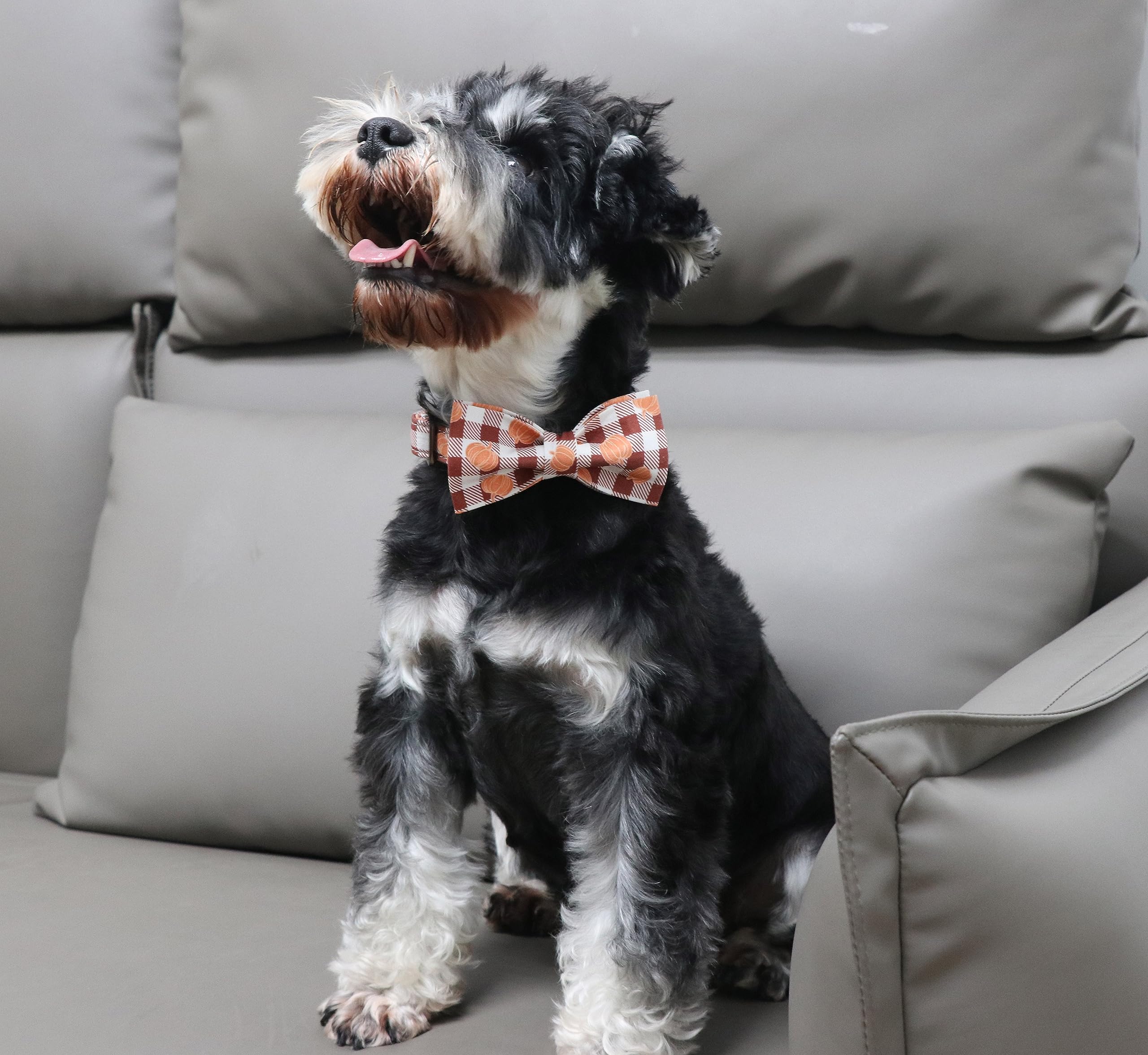 Unique Style Paws Cotton Dog Collar With Bow Halloween Pumpkin Plaid Dog Collar With Bow Tie For Small Medium Large Dogs Pets Gifts