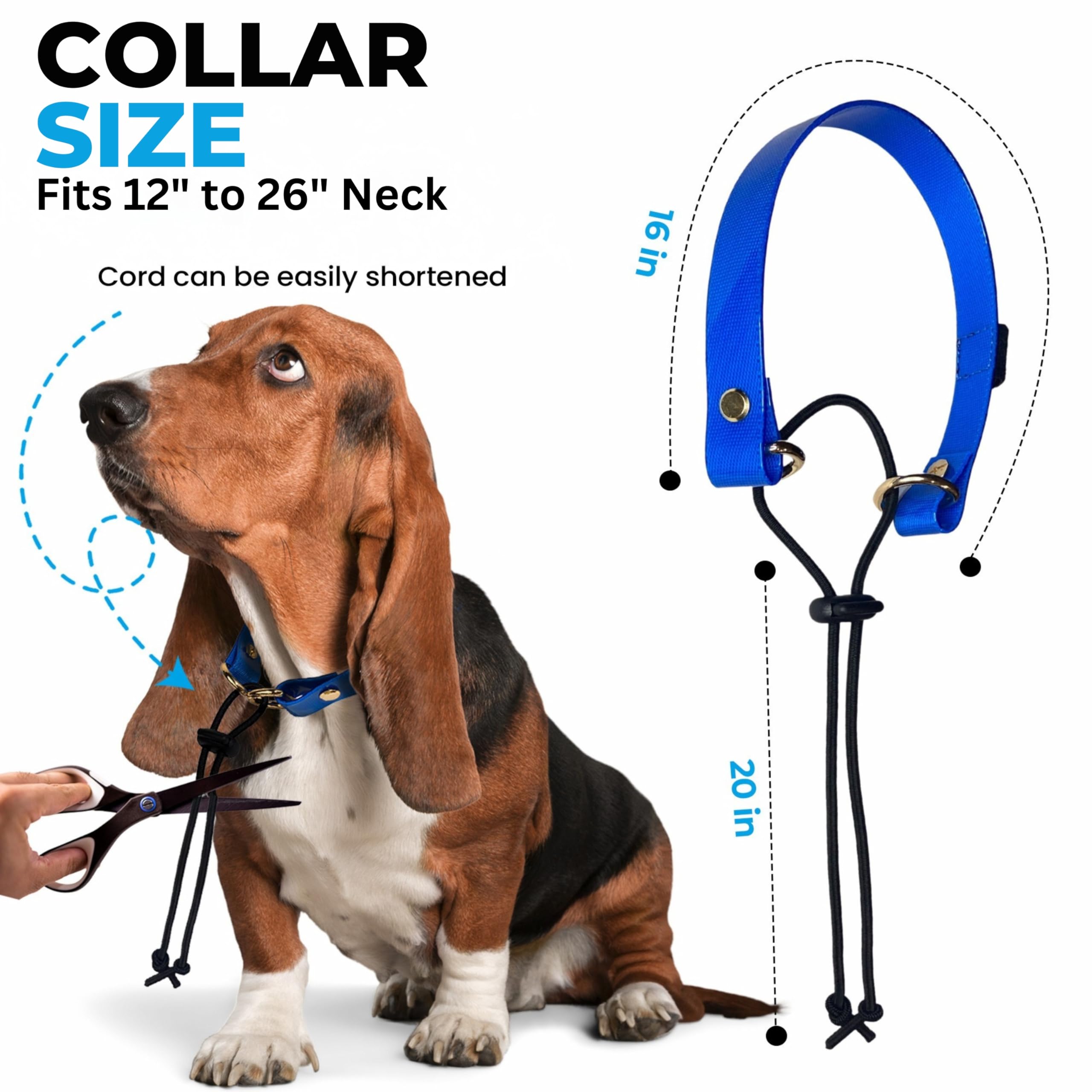 Sportdog Replacement Strap - Bungee Style Dog Shock Collar Strap (Red, 1'' Width)