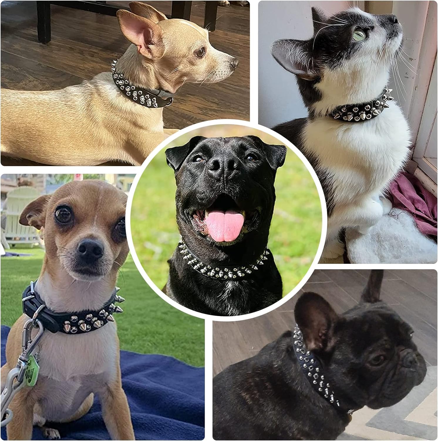 Light Blue Dog Spike Collars,Mushroom Rivet Spike Puppy Collars Girls Boys Leather Studded Cat Collar Adjustable Metal Buckle Du