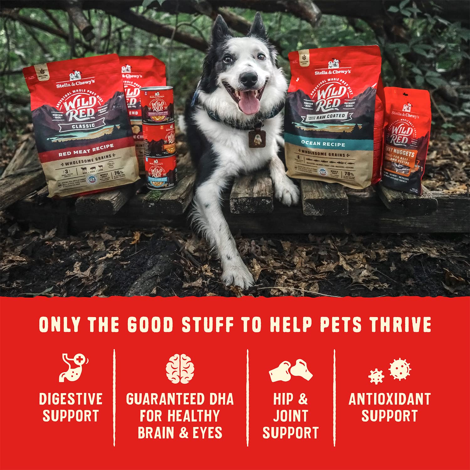 Stella & Chewys Wild Red Dry Dog Food Raw Blend High Protein Grain & Legume Free Red Meat Recipe, 3.5 lb. Bag