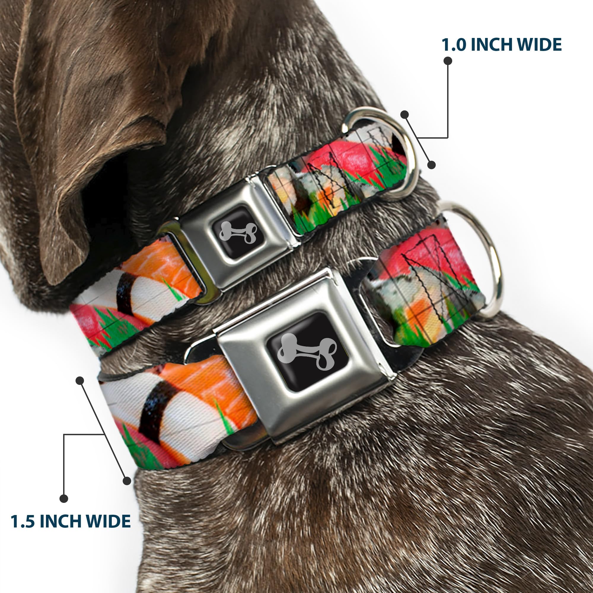 Dog Collar Seatbelt Buckle Sushi Vivid 16 To 23 Inches 1.5 Inch Wide, Multicolor