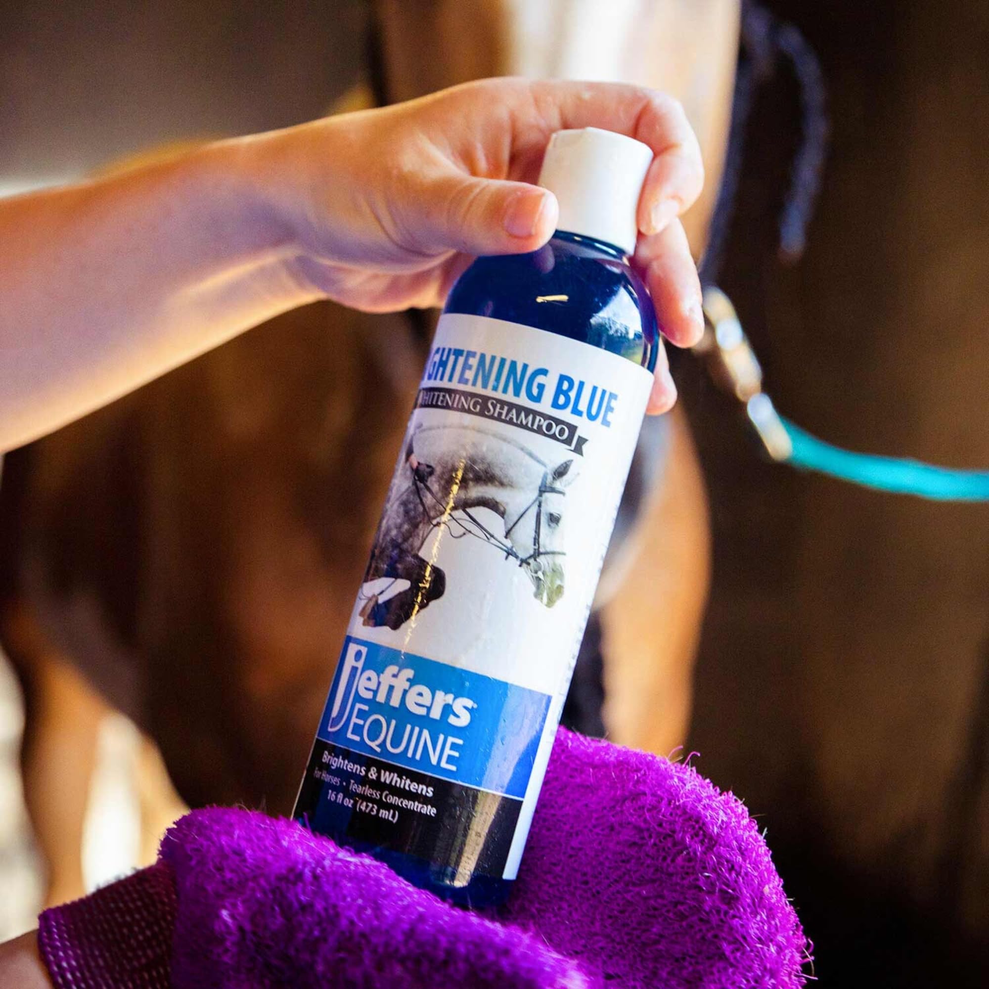 Jeffers Equine Brightening Blue Shampoo For Horses, 16 Oz - Stain Remover, Coconut Oil, Aloe, Gentle Grooming, Detergent - Free,