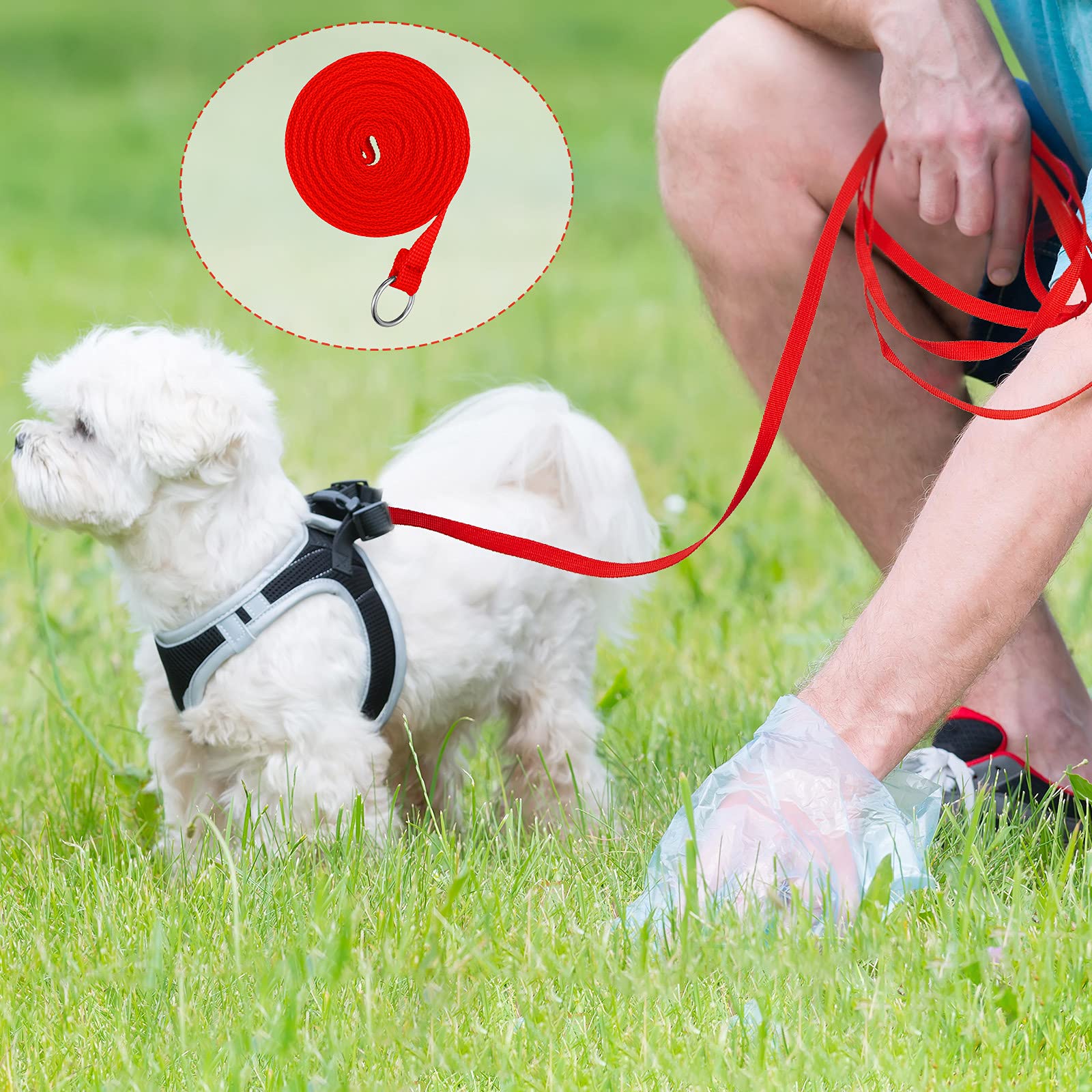 Nuanchu 60 Pieces Puppy Slip Leash Pet Pulling Leashes With O-Ring For Puppy Pet Animal Control Grooming Shelter Rescues Walking Training Doggy Daycare