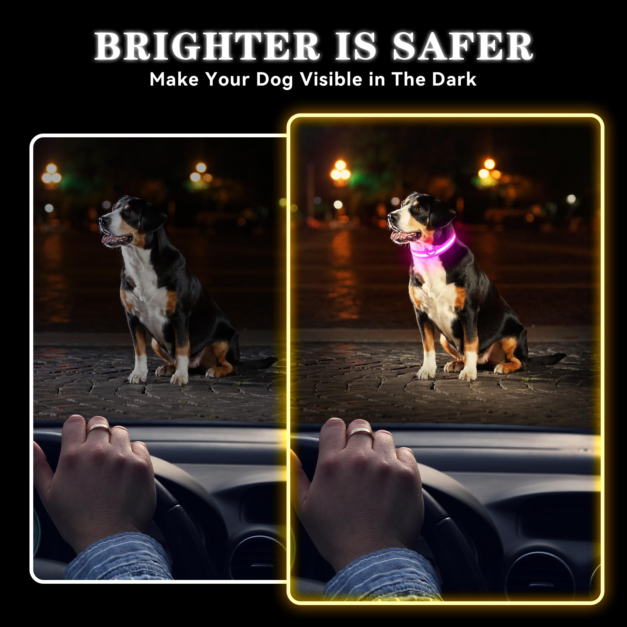 Light Up Dog Collar Rechargeable, Led Dog Collar Waterproof, Glow In Dark Dog Collar, Lighted Dog Collars For Night Walking Char