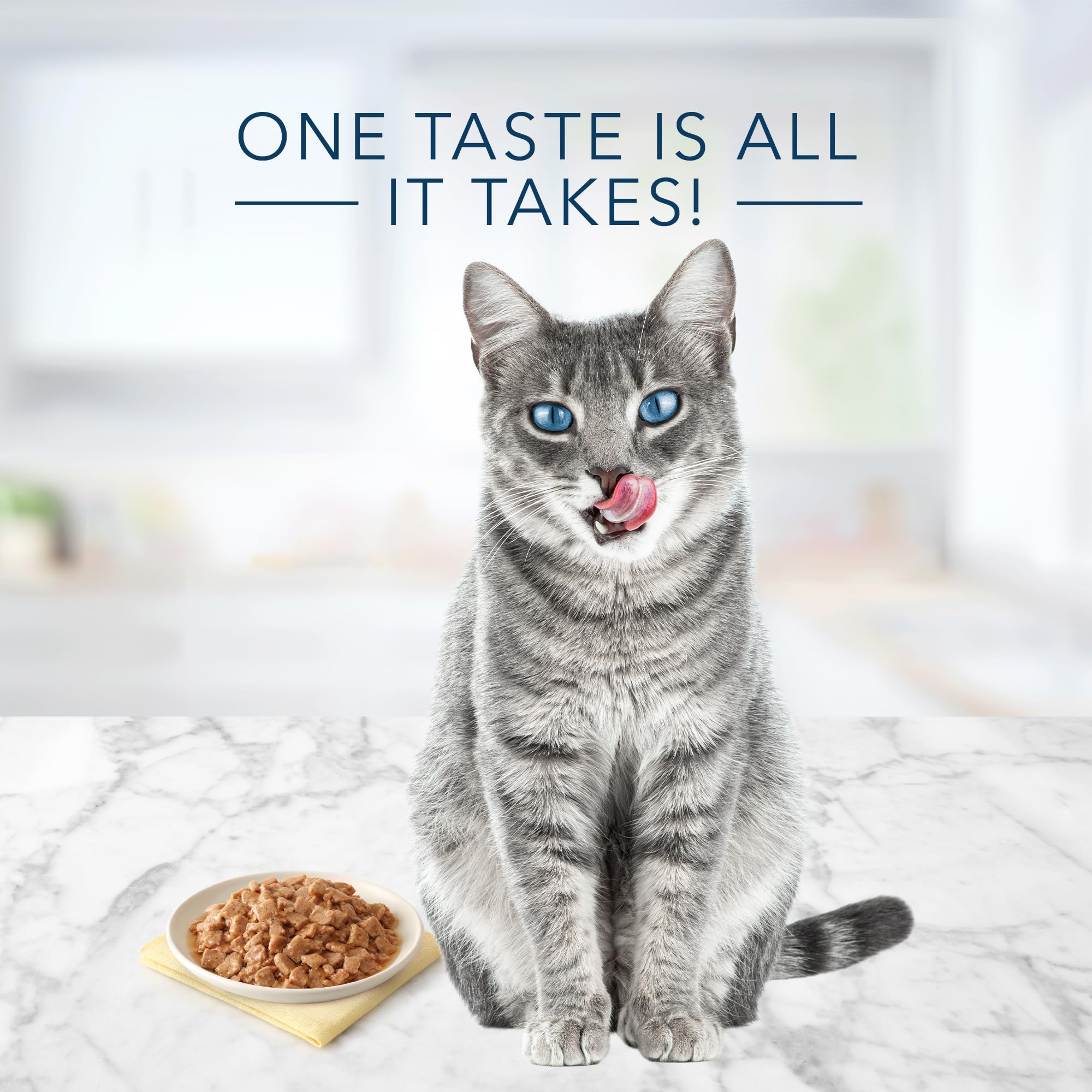 Blue Buffalo Tastefuls Flaked Wet Cat Food, Made with Natural Ingredients, Tuna Entr  e in Gravy, 5.5-oz Cans (24 Count)