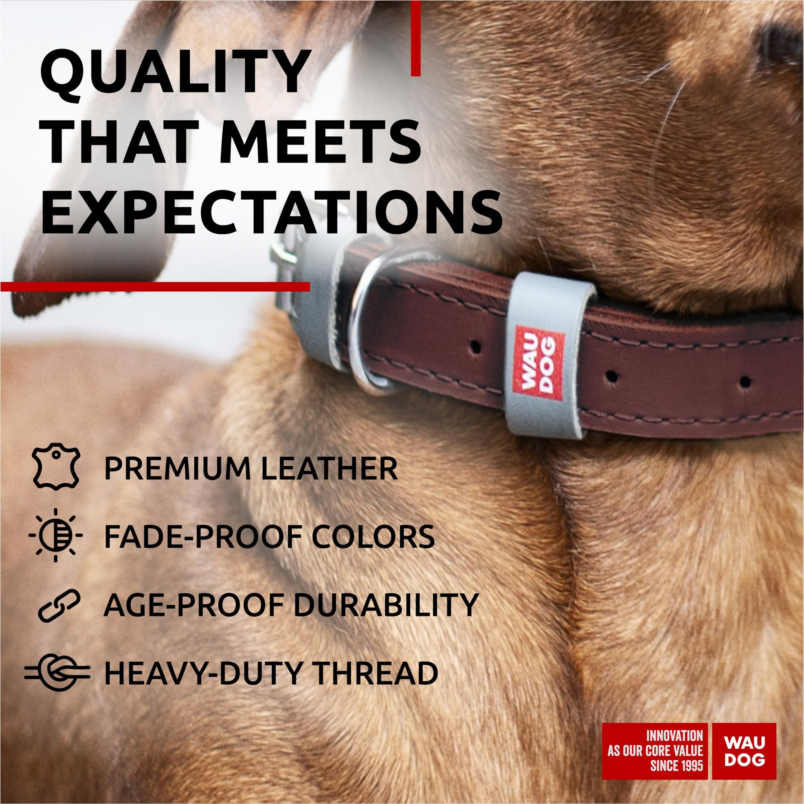 Waudog Long Lasting Leather Dog Collar For Large Dogs, Medium & Small Dogs - Adjustable Classic Puppy Collars For Large Breed Do