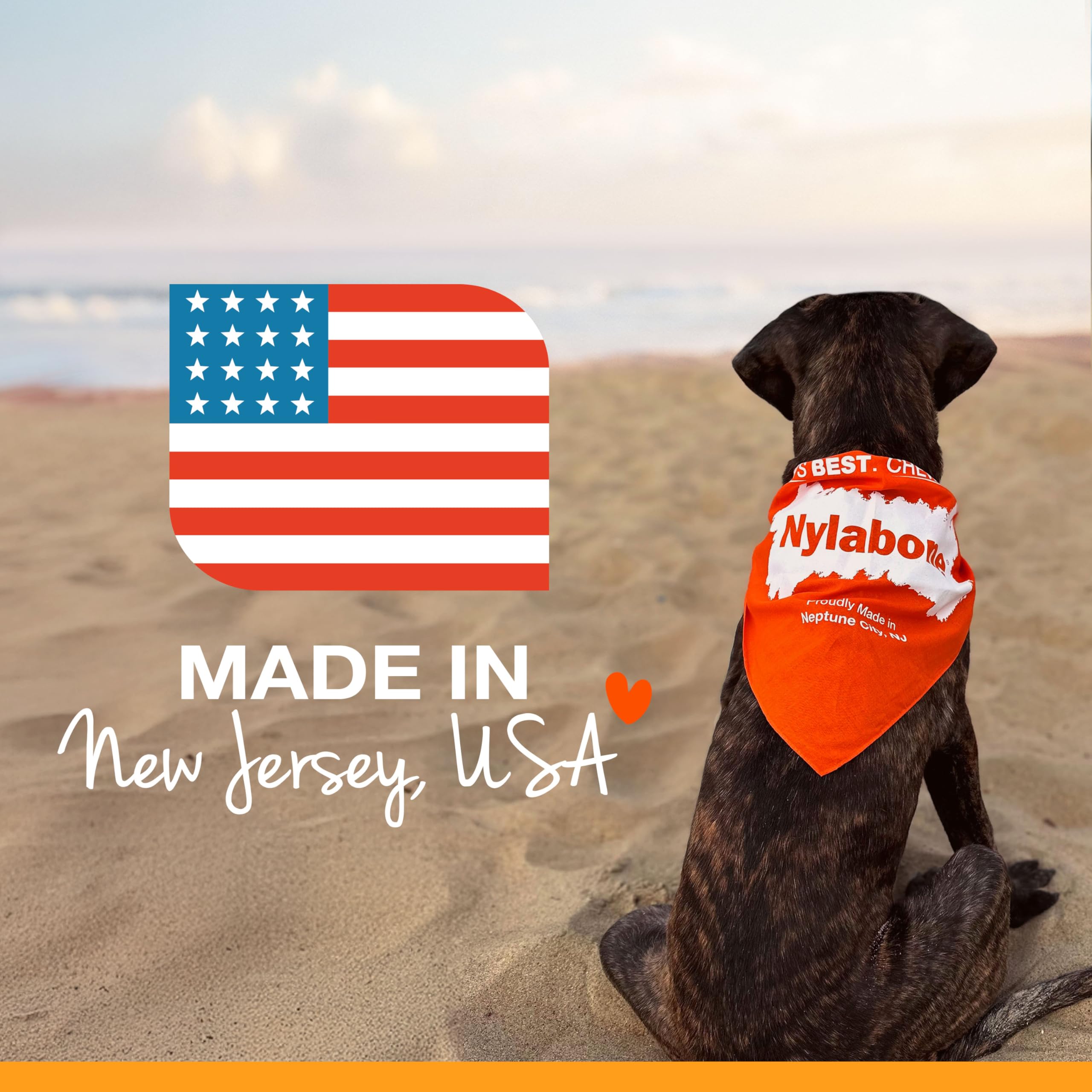 Nylabone Healthy Edibles Natural Dog Chews Long Lasting Bacon Flavor Treats for Dogs, Small/Regular (3 Count)