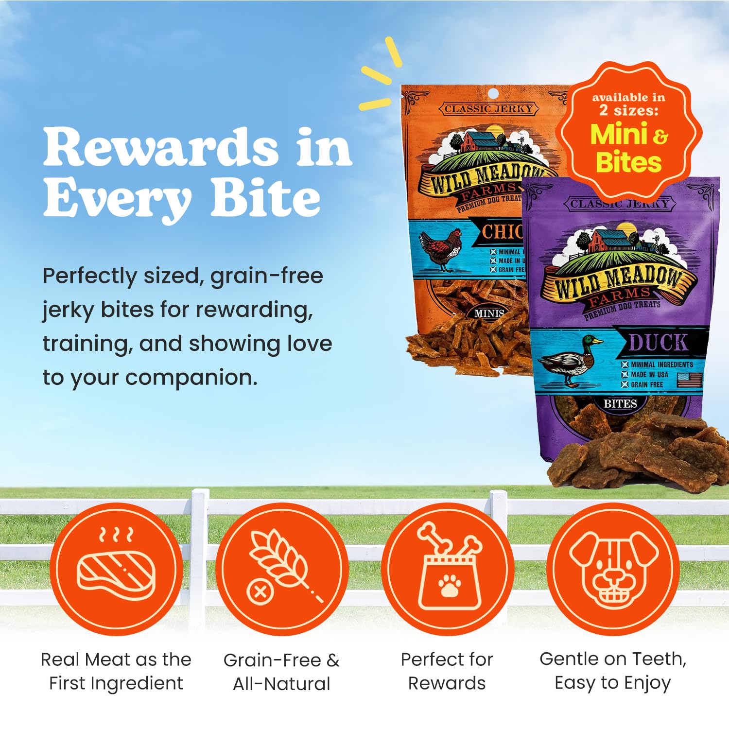 Wild Meadow Farms - Classic Beef Minis, Soft Jerky Training Treats for Dogs, Grain-Free, All-Natural & Perfectly Sized for Train