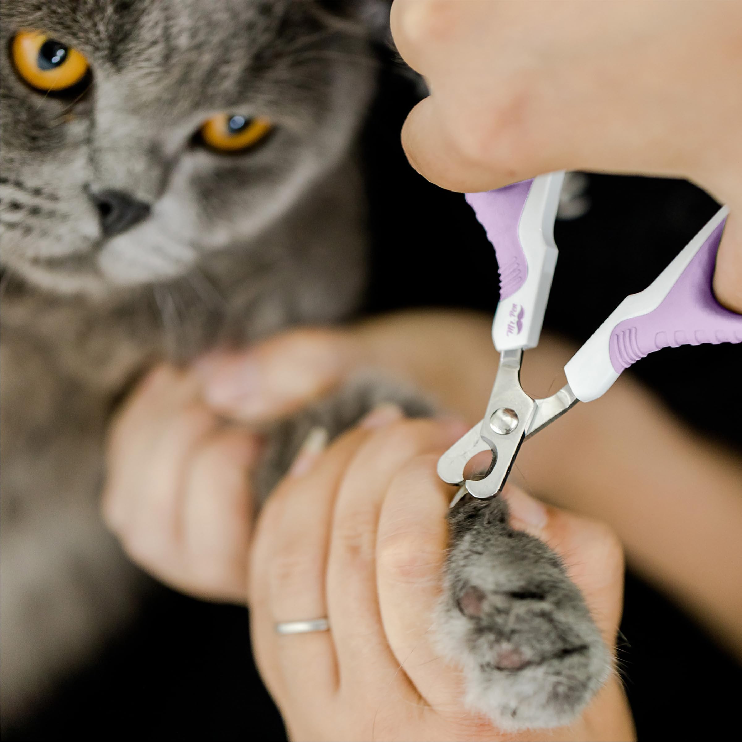 Mr. Pen- Cat Nail Clipper, Purple, Cat Nail Trimmer, Cat Nail Clippers, Cat Claw Clippers, Cat Clippers For Nails, Pet Nail Clippers, Kitten Nail Clipper, Small Dog Nail Clipper, Cat Claw Trimmer