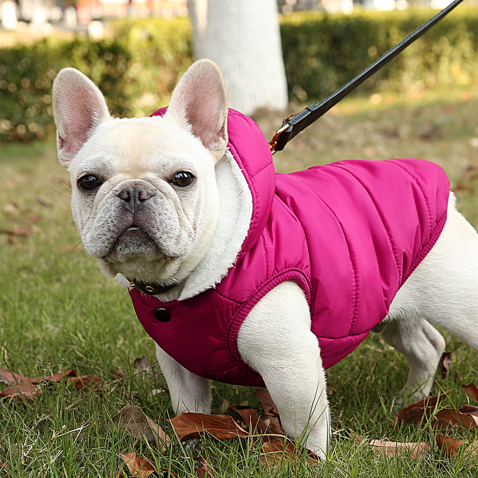 Fleece Hoodie, Windproof Waterproof Coat, Winter Warm Jacket, Cold Weather Pet Apparel Clothes Vest For Small Medium Large Dogs