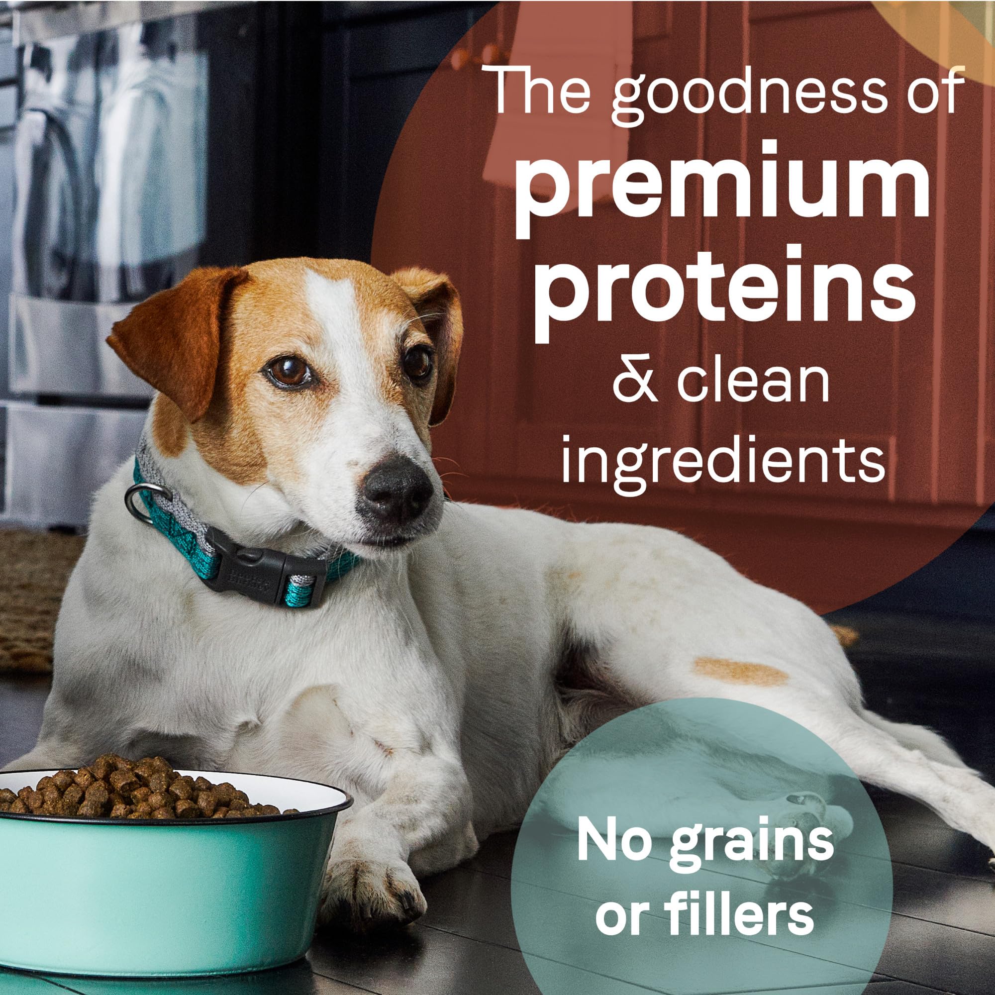 Canidae Pure Farm to Bowl Cage-free Duck & Sweet Potato, Adult, Grain-Free Dry Dog Food, 4lb
