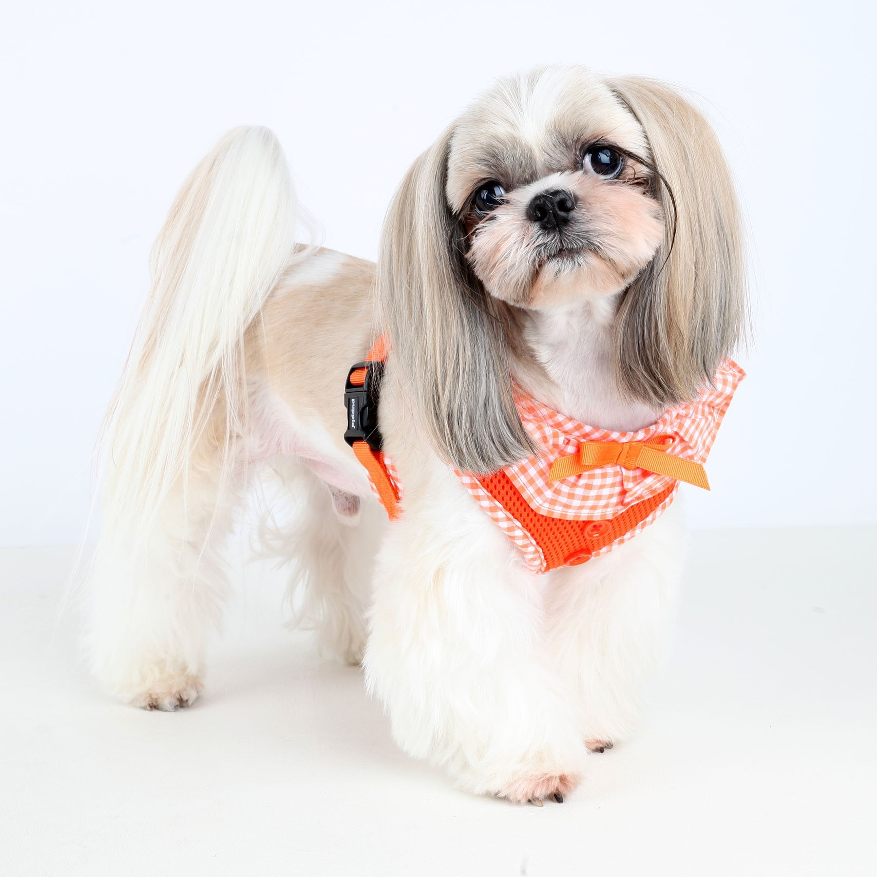 Puppia Vivien Dog Harness Over-The-Head All Season Cute No Pull No Choke Walking Training Adjustable For Small Dog, Orange, Large