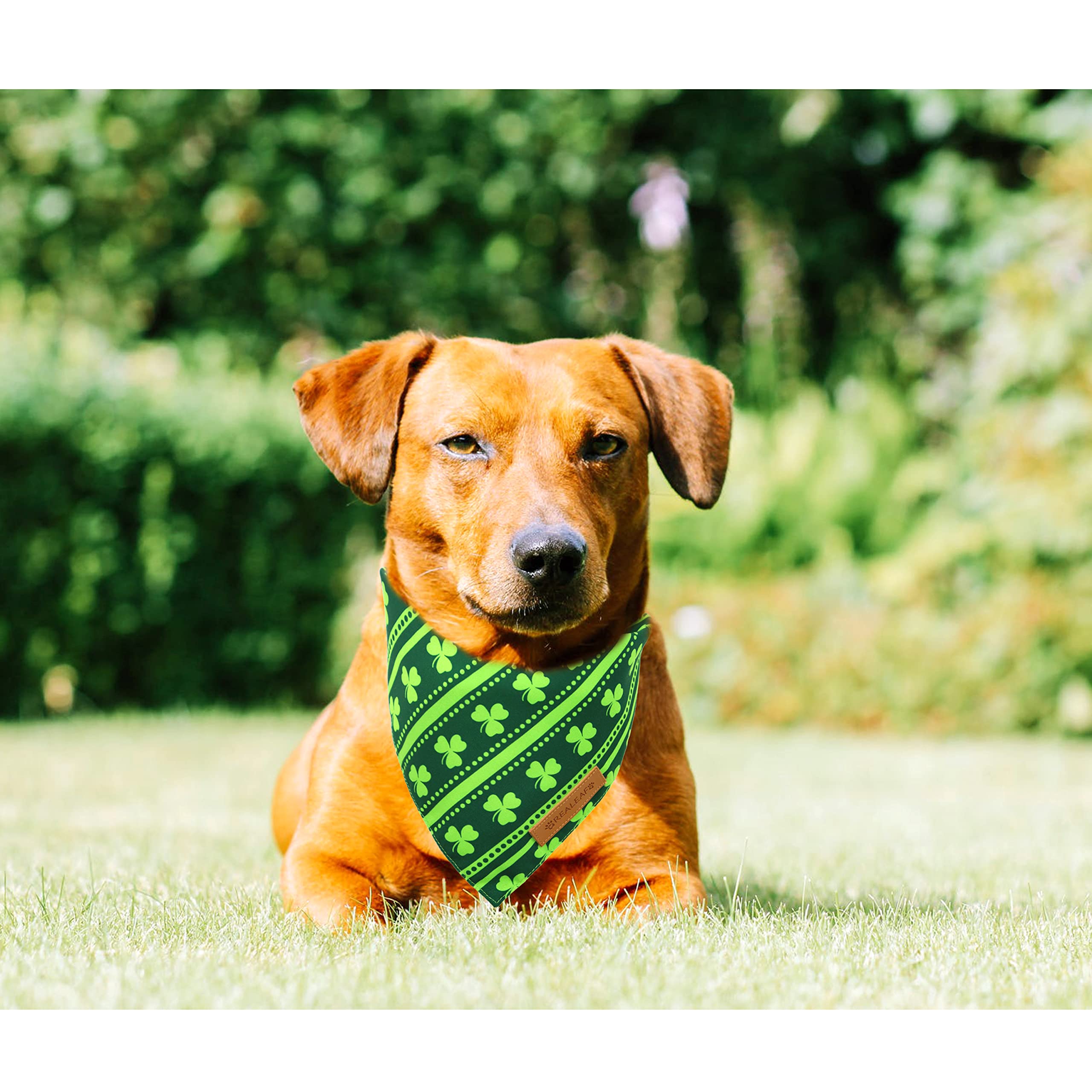 Realeaf St. Patrick's Day Dog Bandanas, Reversible X-Large Green Shamrock Scarf for Large Dogs, Premium Cotton Fabric