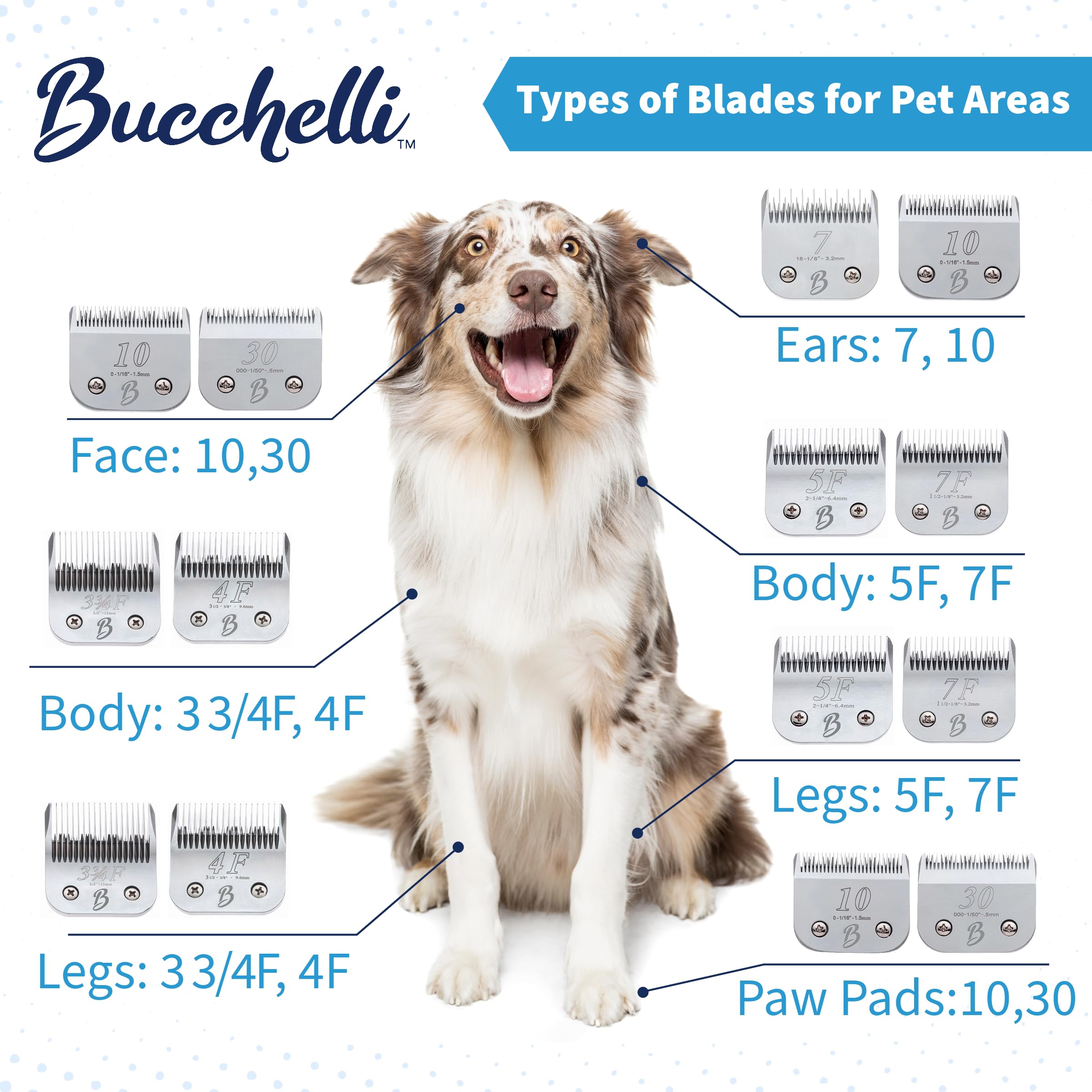 Bucchelli Detachable A Series 5F Blade Dog Grooming Cuts Length 1/4'' - 6.4Mm Japanese High Carbon Steel 6.4 Mm Clipper Blade 5F