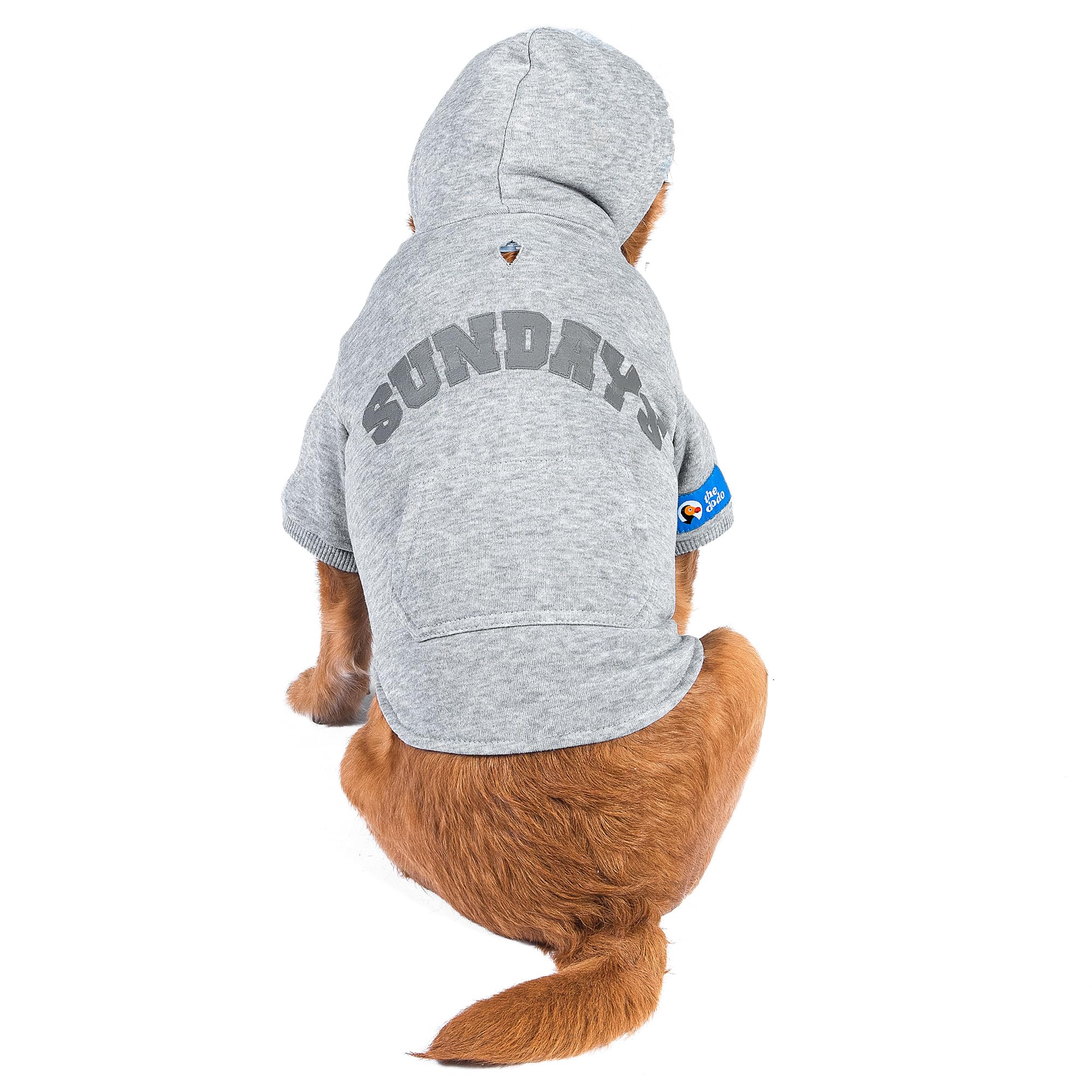 The Dodo Heather Gray Sundays Hoodie for Dogs, Size Large, Everyday Apparel for Dogs, Cute Dog Sweatshirt, Cute Clothes for Dogs