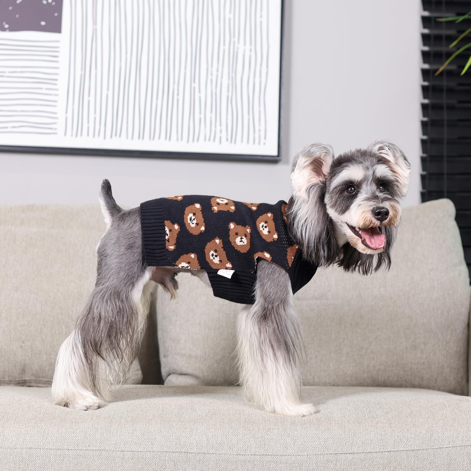 Cutebone Cute Dog Sweater - Bear Pattern Pullover For Small Medium Dogs, Winter Clothes For Chihuahua Yorkie Teacup Ds97Xl