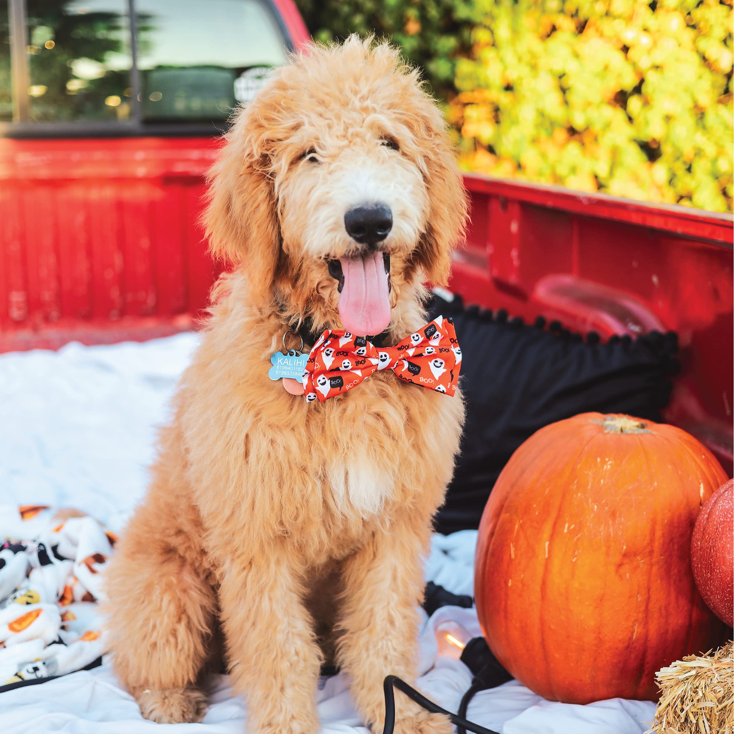 Huxley & Kent Bow Tie For Pets | Ghostbusters (Extra-Large) | Halloween Bow Tie Collar Attachment | Fun Bow Ties For Dogs & Cats | Cute, Comfortable, And Durable | H&K Bow Tie