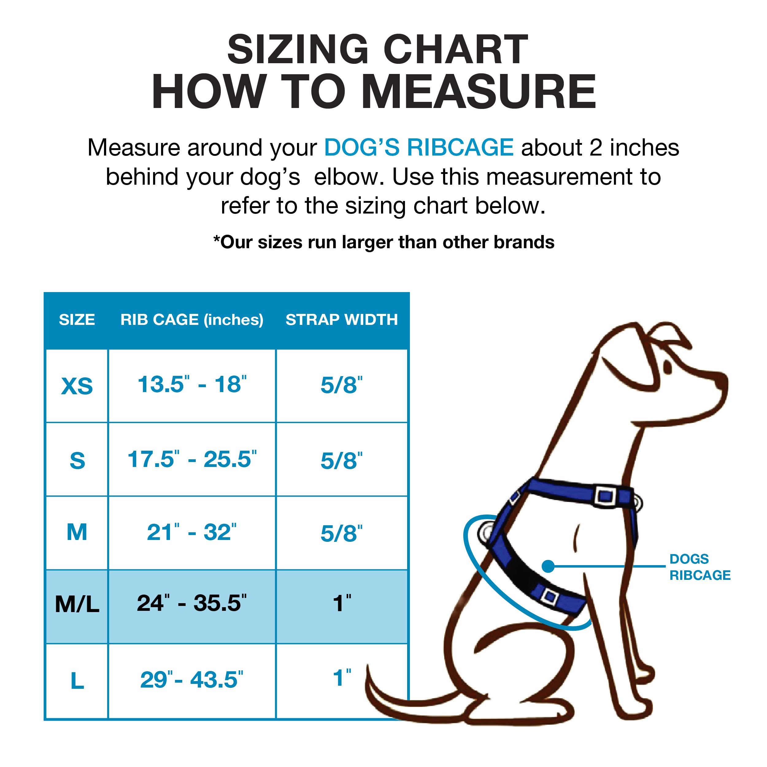 Blue-9 Buckle-Neck Balance Harness, Fully Customizable Fit No-Pull Harness, Ideal For Dog Training And Obedience, Made In The Usa, Purple, Medium/Large