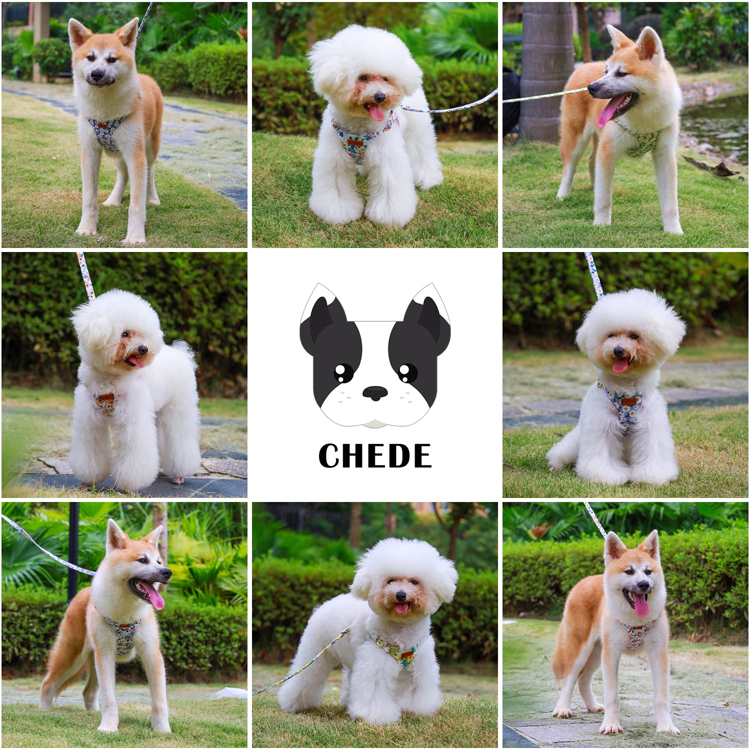 CHEDE Floral Pattern Dog Harness - Lightweight, Soft, Adjustable, Small & Medium Dog Harness and Leash Set, Suitable for Puppy (