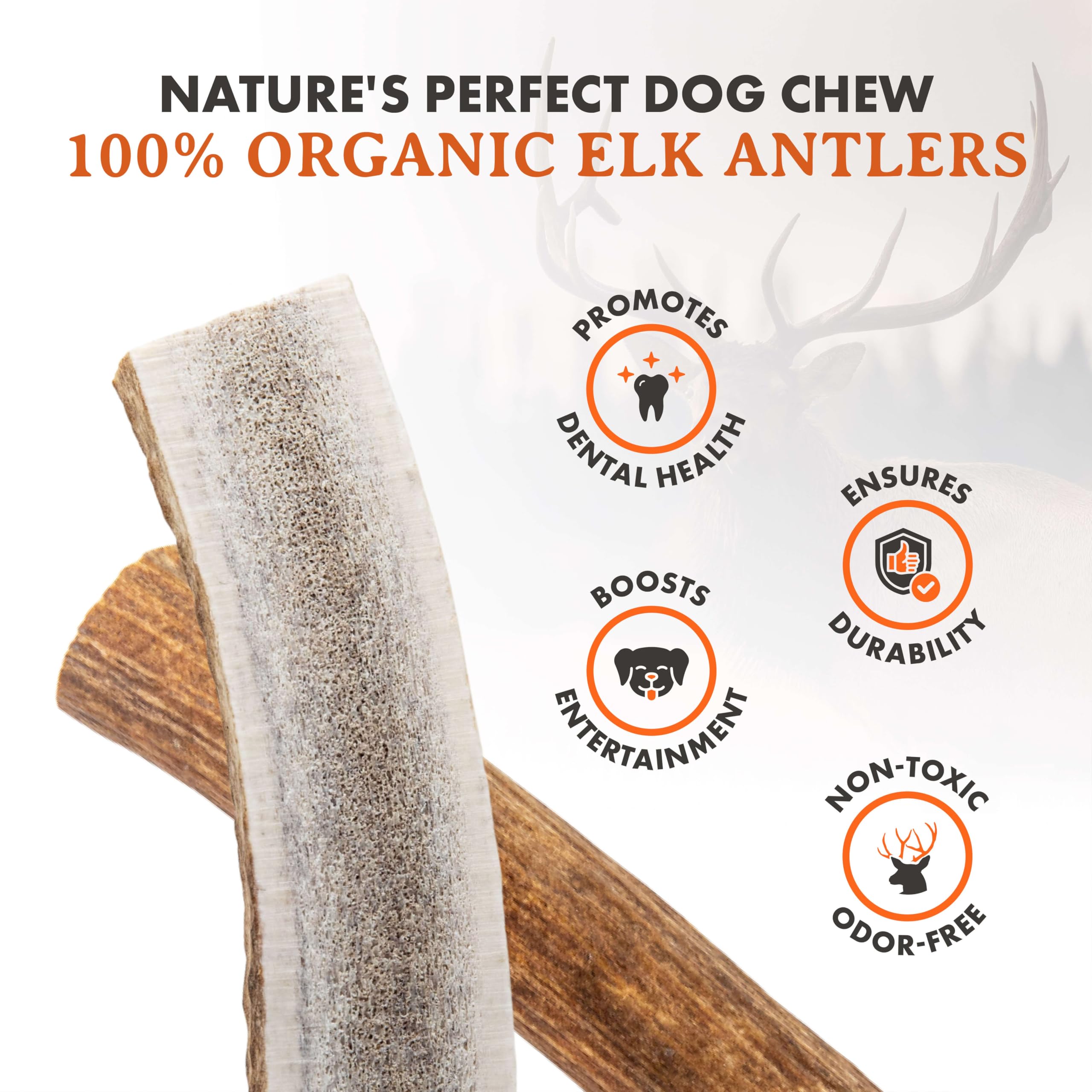 Alpha Dog Nutrition Elk Antler Chews (1 Count (Pack Of 2), Small Split)
