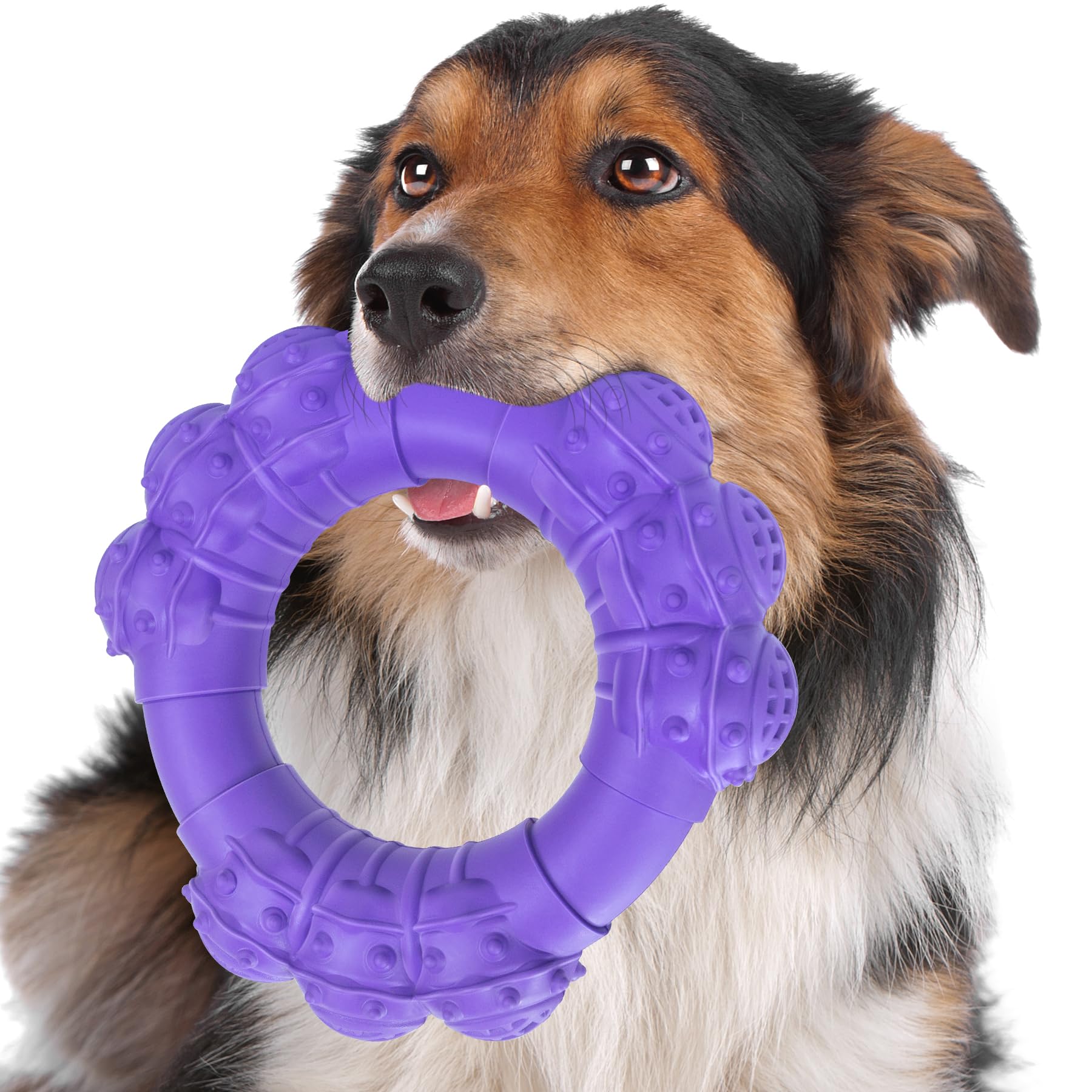 DAOZIJI Indestructible Dog Chew Toys for Aggressive Chewers, Super Chewer Toys for Medium Large Dogs, Interactive Ring Toy, Heav