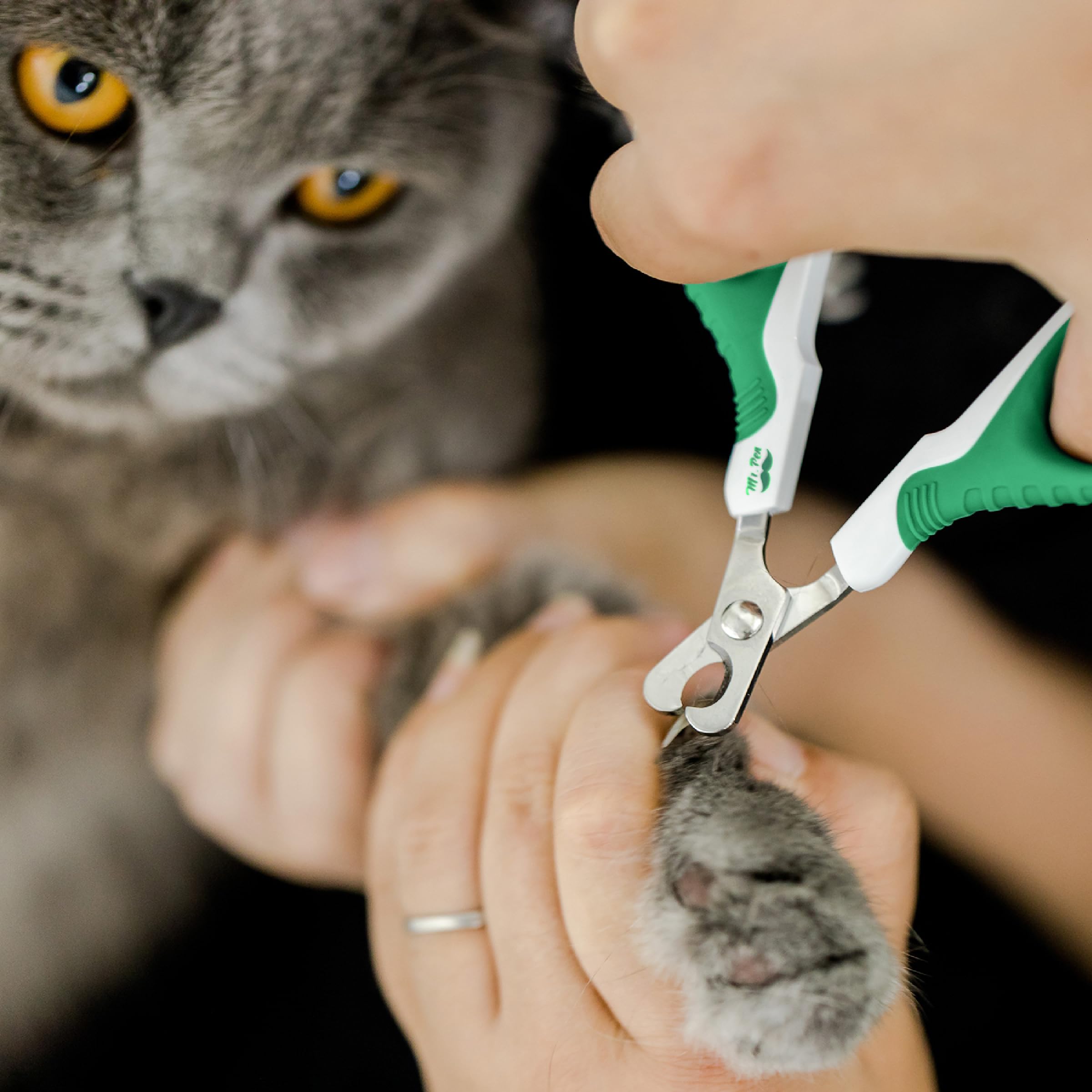 Mr. Pen- Cat Nail Clipper, Green & White Cat Nail Trimmer, Cat Nail Clippers, Cat Claw Clippers, Cat Clippers For Nails, Pet Nail Clippers, Kitten Nail Clipper, Small Dog Nail Clipper Cat Claw Trimmer