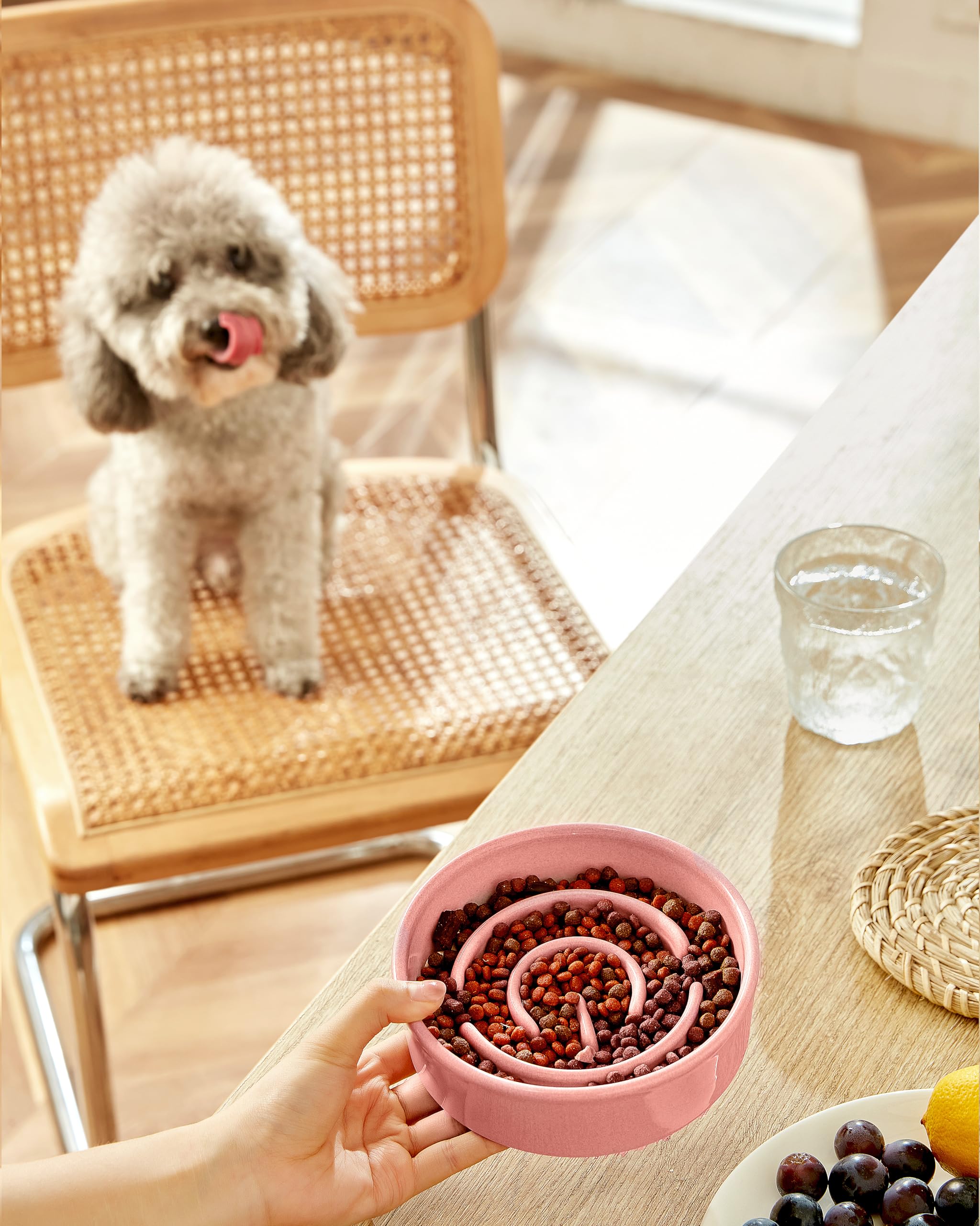 MOPANG Ceramic Slow Feeder Dog Bowl, 0.6 Cup, 6in Pink, Puzzle Maze Design, Prevents Choking for Small Dogs and Cats