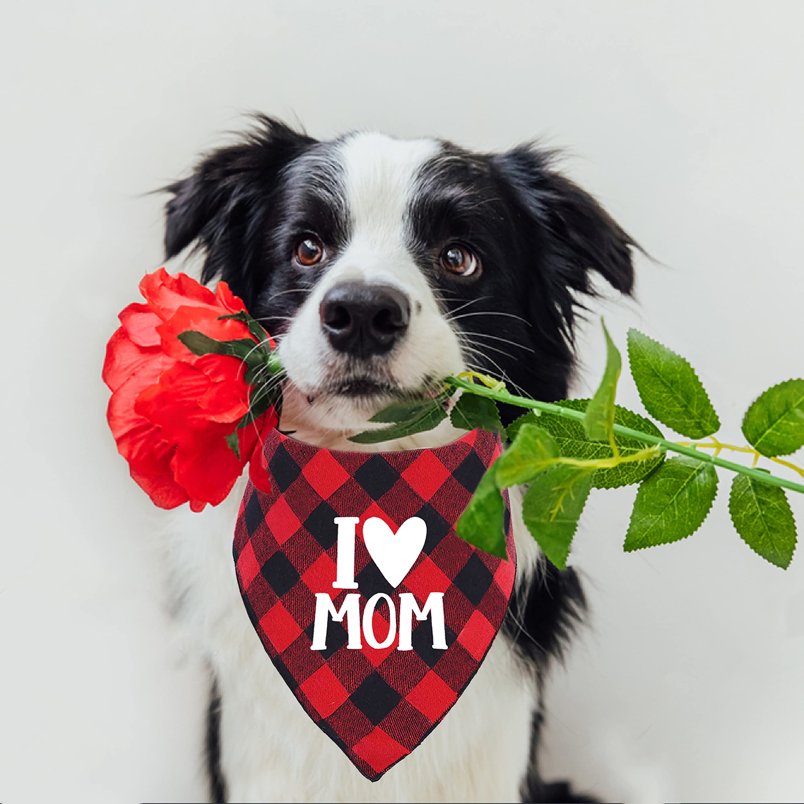 Mother'S Day Dog Bandana, Happy Mother'S Day Cat Bandana For Large Medium Small Pets Puppies (Large)