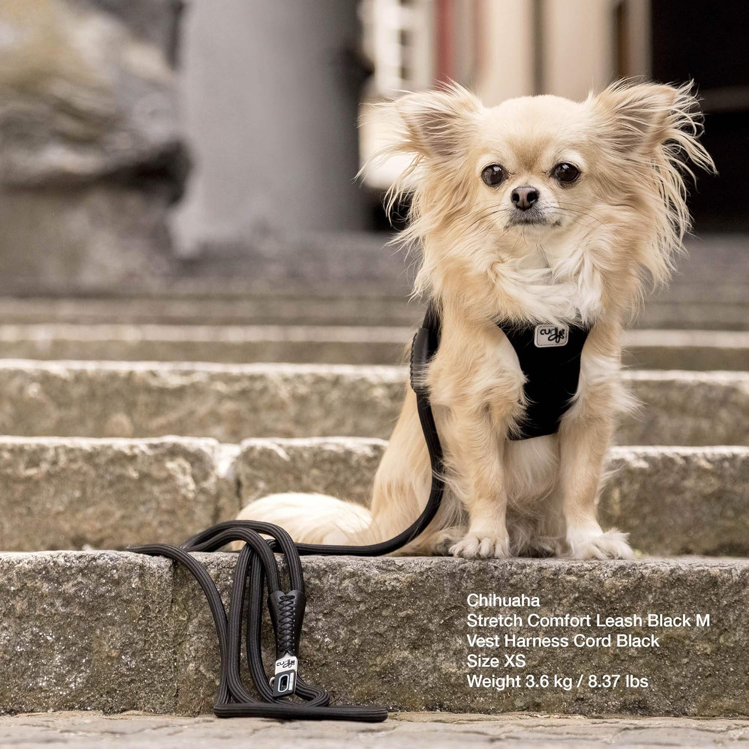 Stretch Comfort Leash SkyBlue L