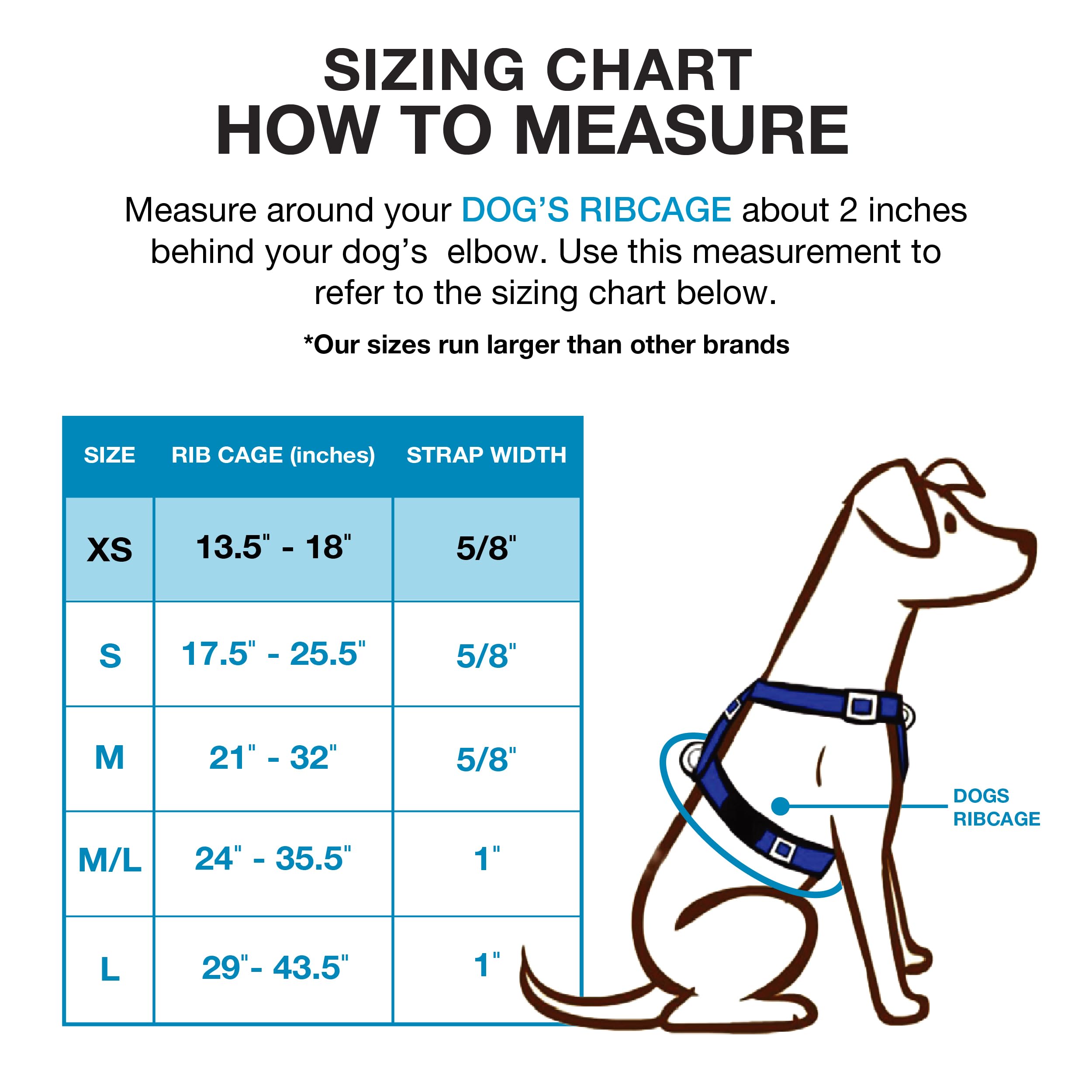 Blue-9 Buckle-Neck Balance Harness, Fully Customizable Fit No-Pull Harness, Ideal For Dog Training And Obedience, Made In The Usa, Orange, X-Small