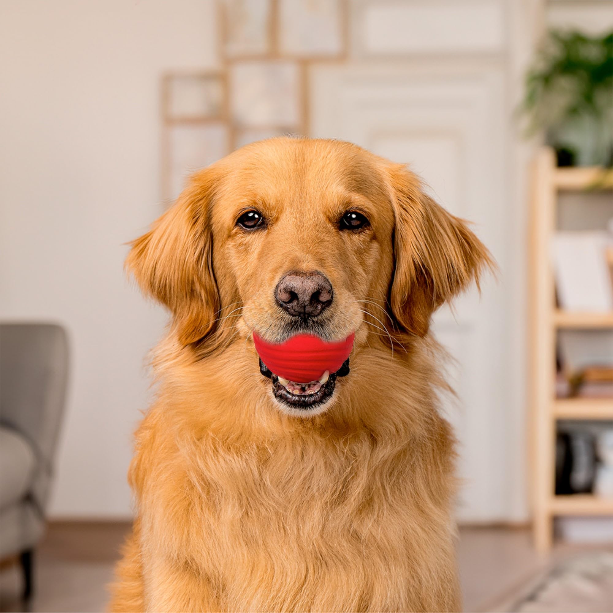 Playology Dual Layer Ball For Dogs | Engaging All Natural Beef Scented Red Toy | Jumbo Sized Chew Ball For Large To X-Large Dogs
