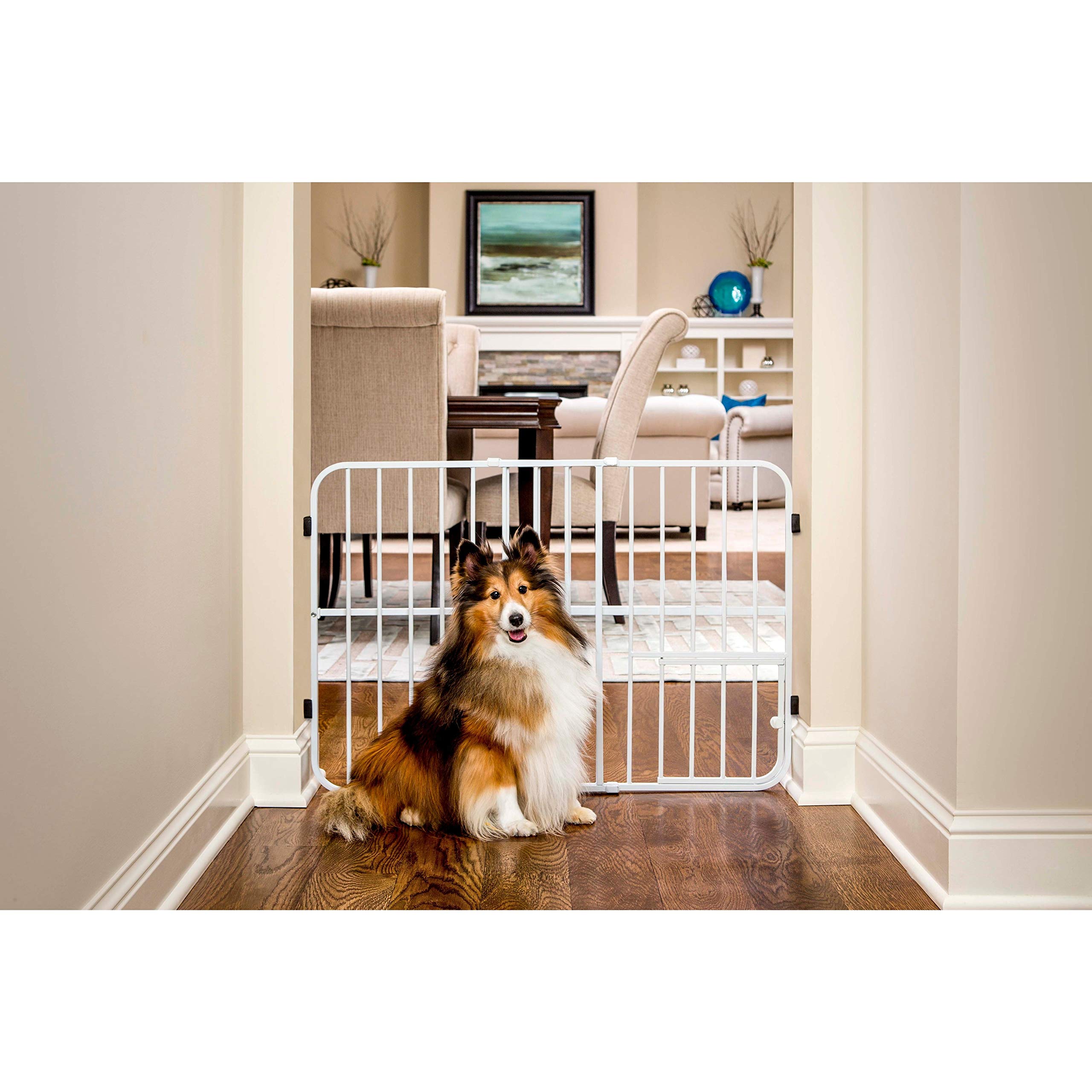 Carlson Pet Products Tuffy Metal Expandable Pet Gate, Includes Small Pet Door, 24 X 22-38 Inch, White