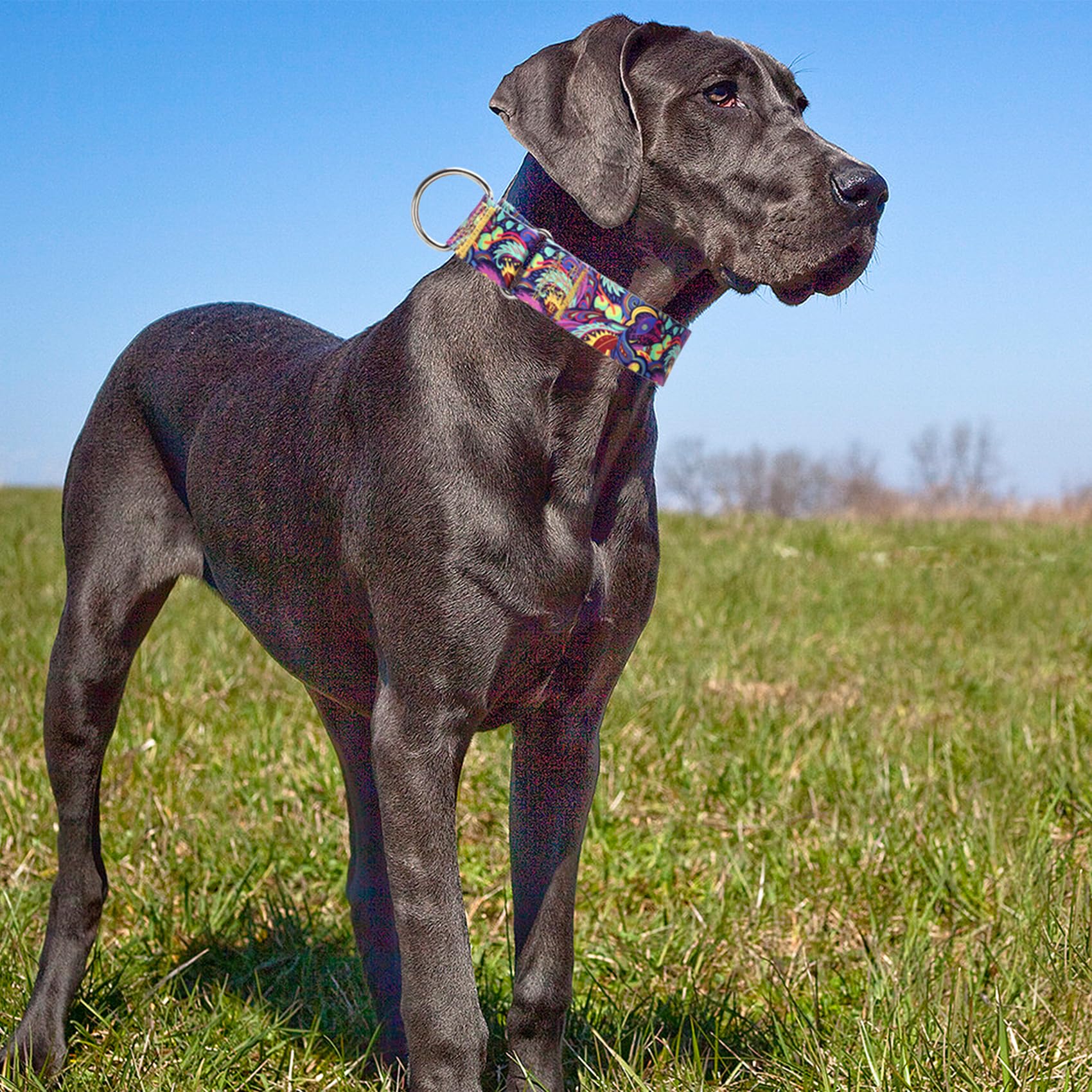 Martingale Dog Collar No-Pull Adjustable For Medium/Large Dogs - Heavy Duty 1.5' Wide Training Collar With Aztec Tribal Pattern
