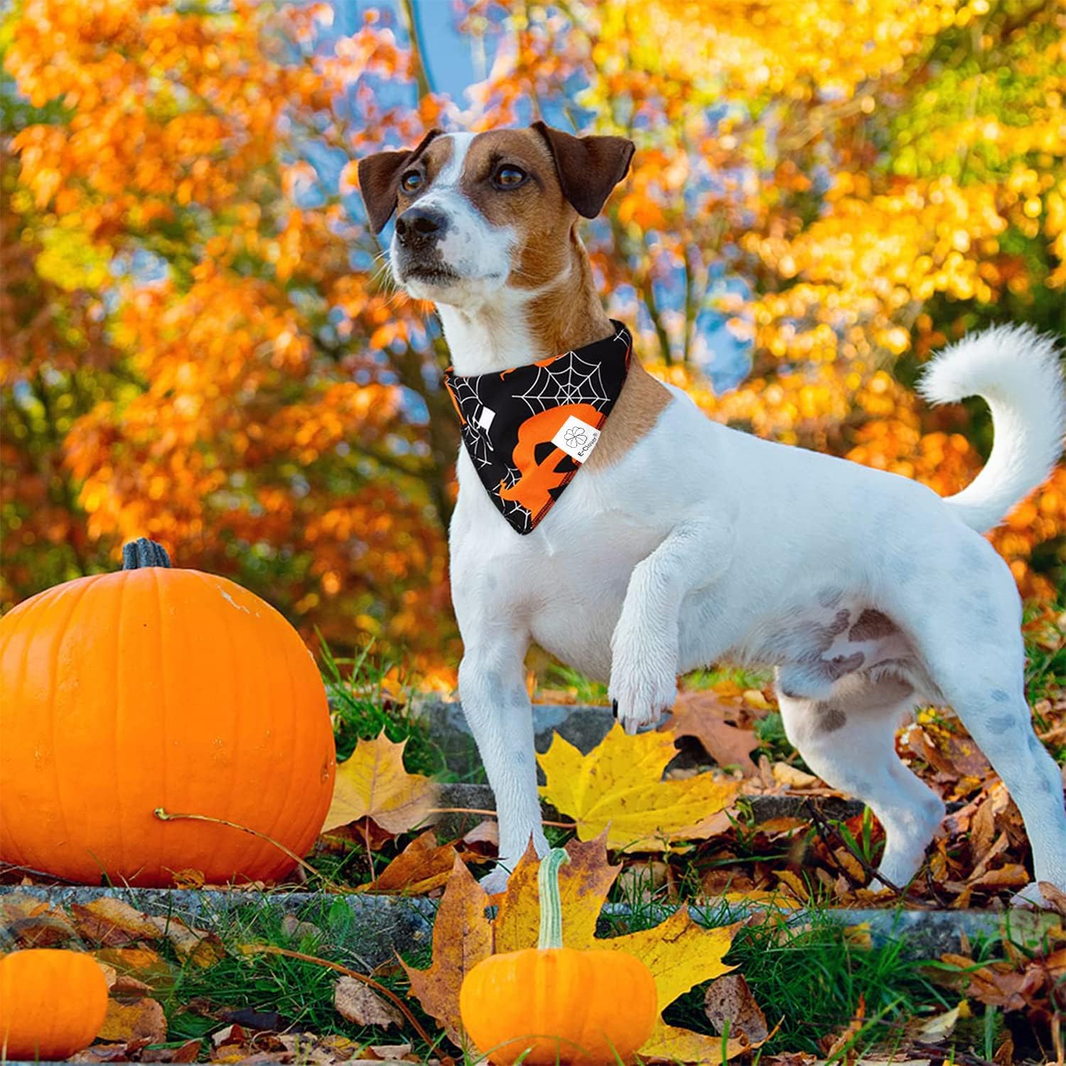 E-Clover Halloween Dog Bandanas-Pumpkin Dog Bandana Matching Scrunchie Triangle Pet Kerchief Scarf For Small Medium Large Dogs P