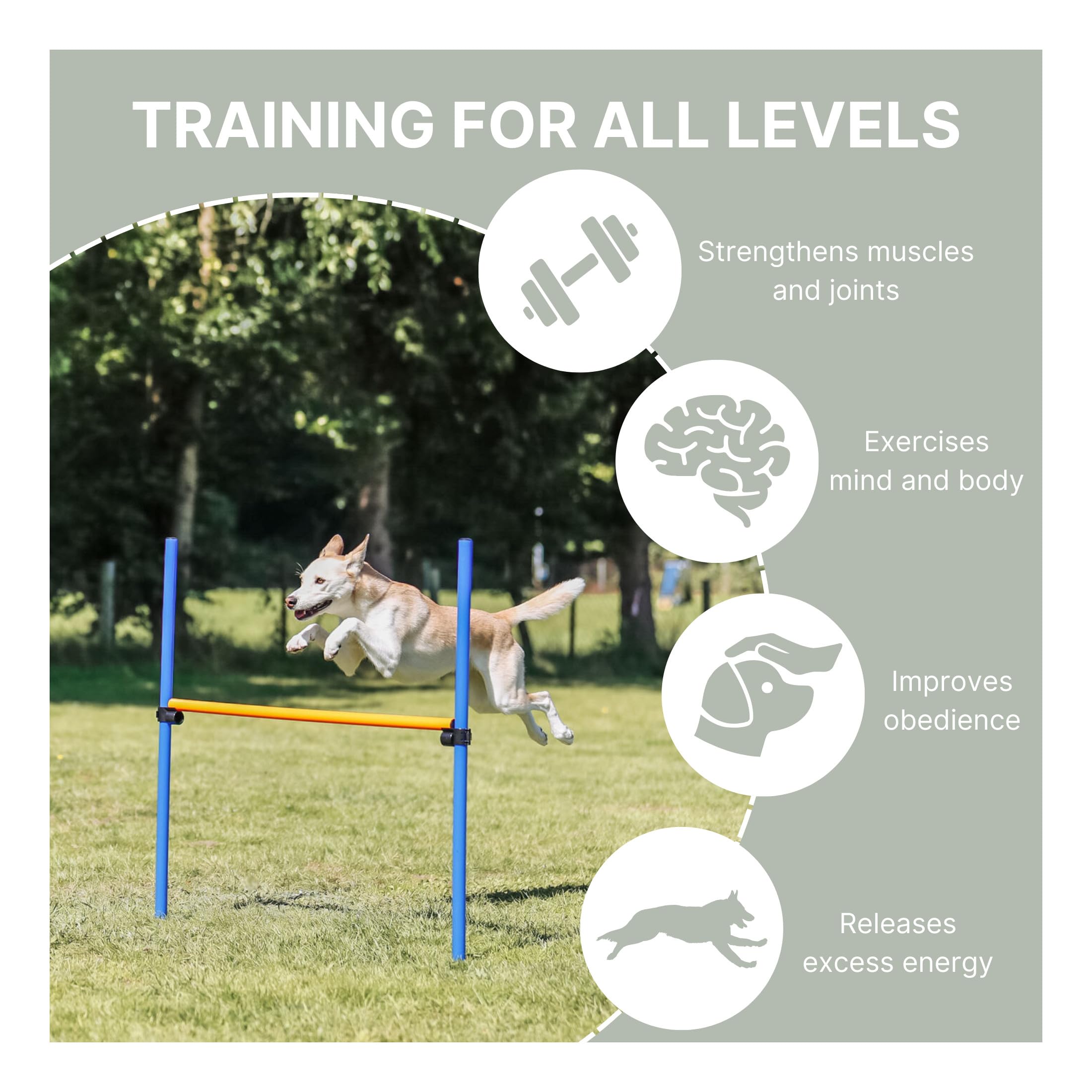 TRIXIE Agility Hurdle Adjustable Dog Jump, Ideal for Beginners & Advanced, Dog Obstacle Course Equipment 1 x Hurdle