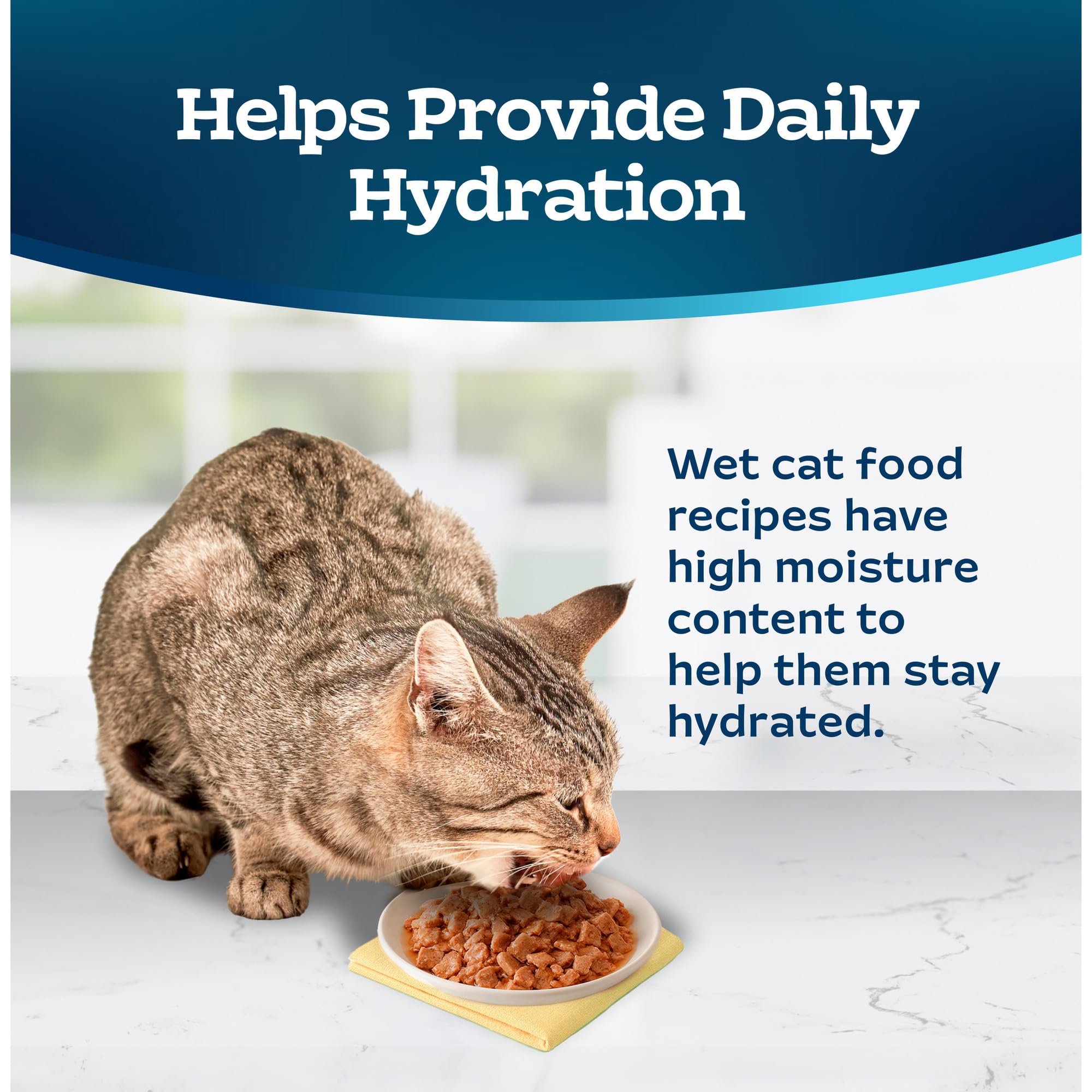 Blue Buffalo Tastefuls Natural Tender Morsels Wet Cat Food, Chicken Entr  e 3-oz cans (Pack of 24)