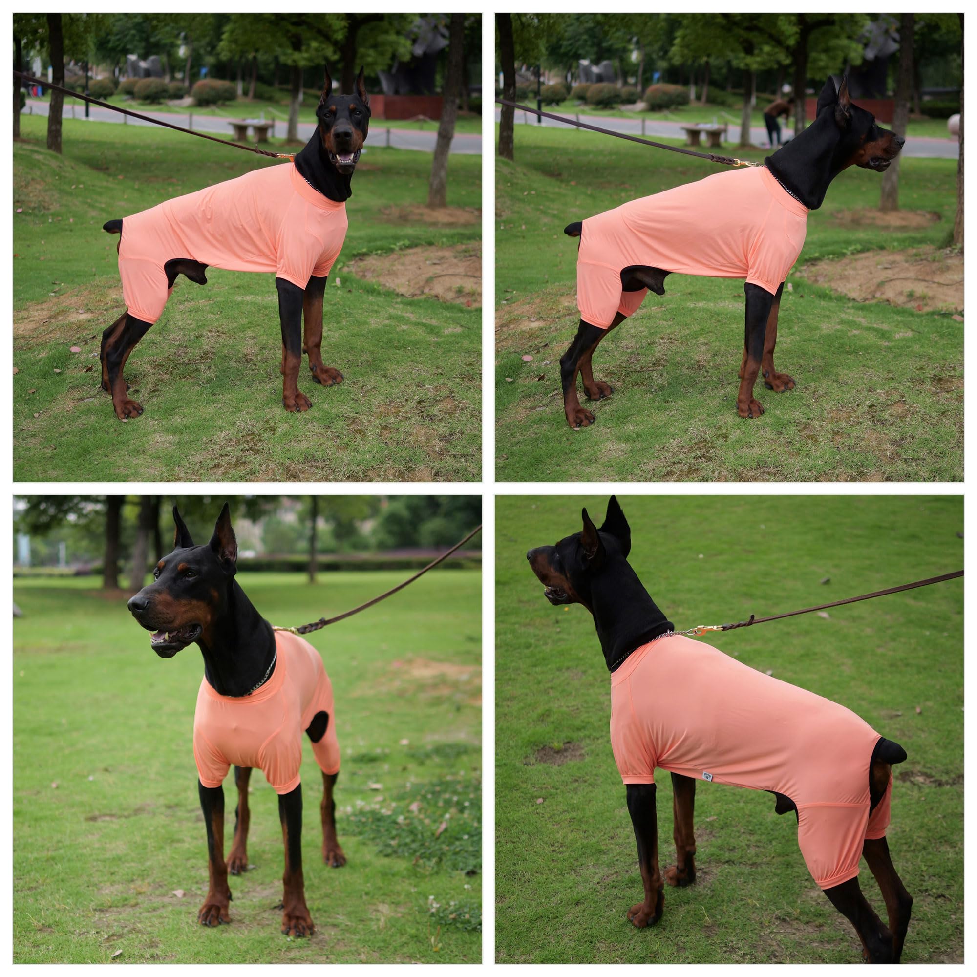 Lovelonglong Dog Jumpsuit With Uv Protection And Quick-Dry Fabric For Spring Summer Pet Pajamas Lobster Pink S