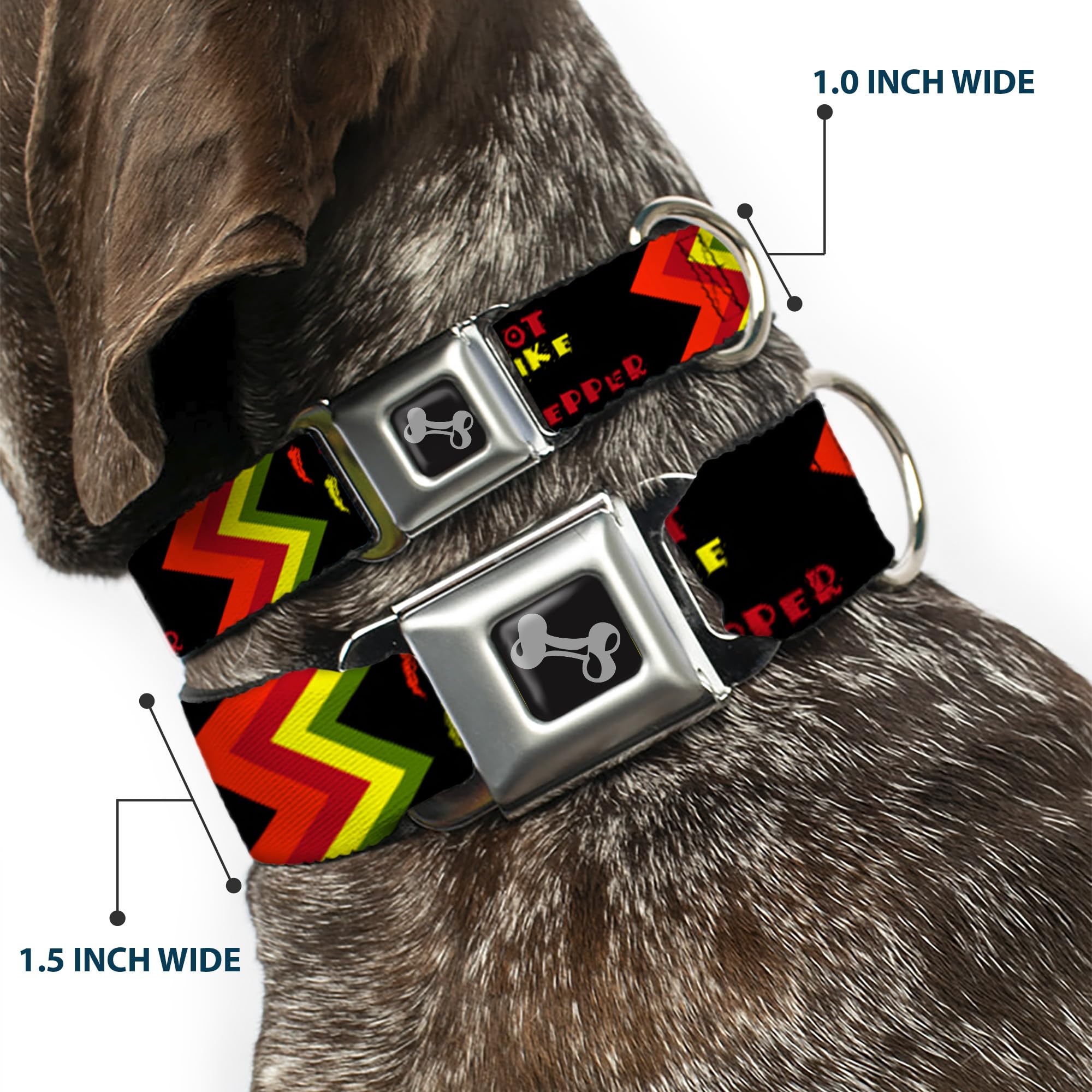 Buckle-Down Seatbelt Buckle Dog Collar - Hot Like A Pepper - 1' Wide - Fits 9-15' Neck - Small, Multicolor (Dc-W30848-S)