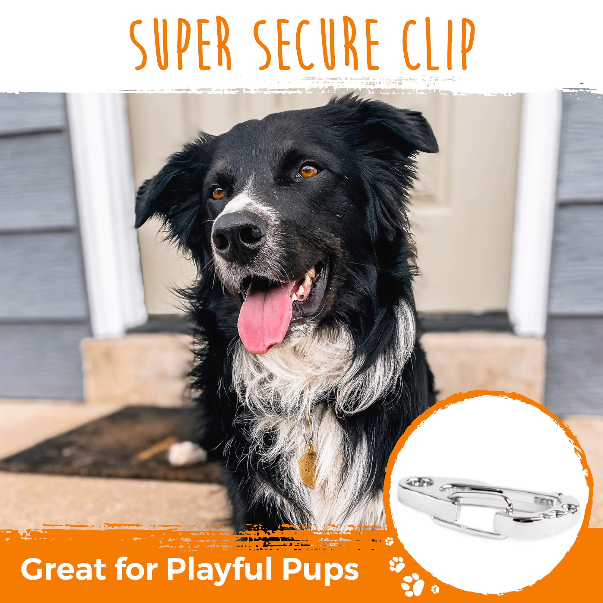 Mighty Paw Dog Tag Carabiner Clips - 3 Pack Strong Dog Clip - Weather Resistant & Easy To Clean Quick Id Holders - Easy Switch P