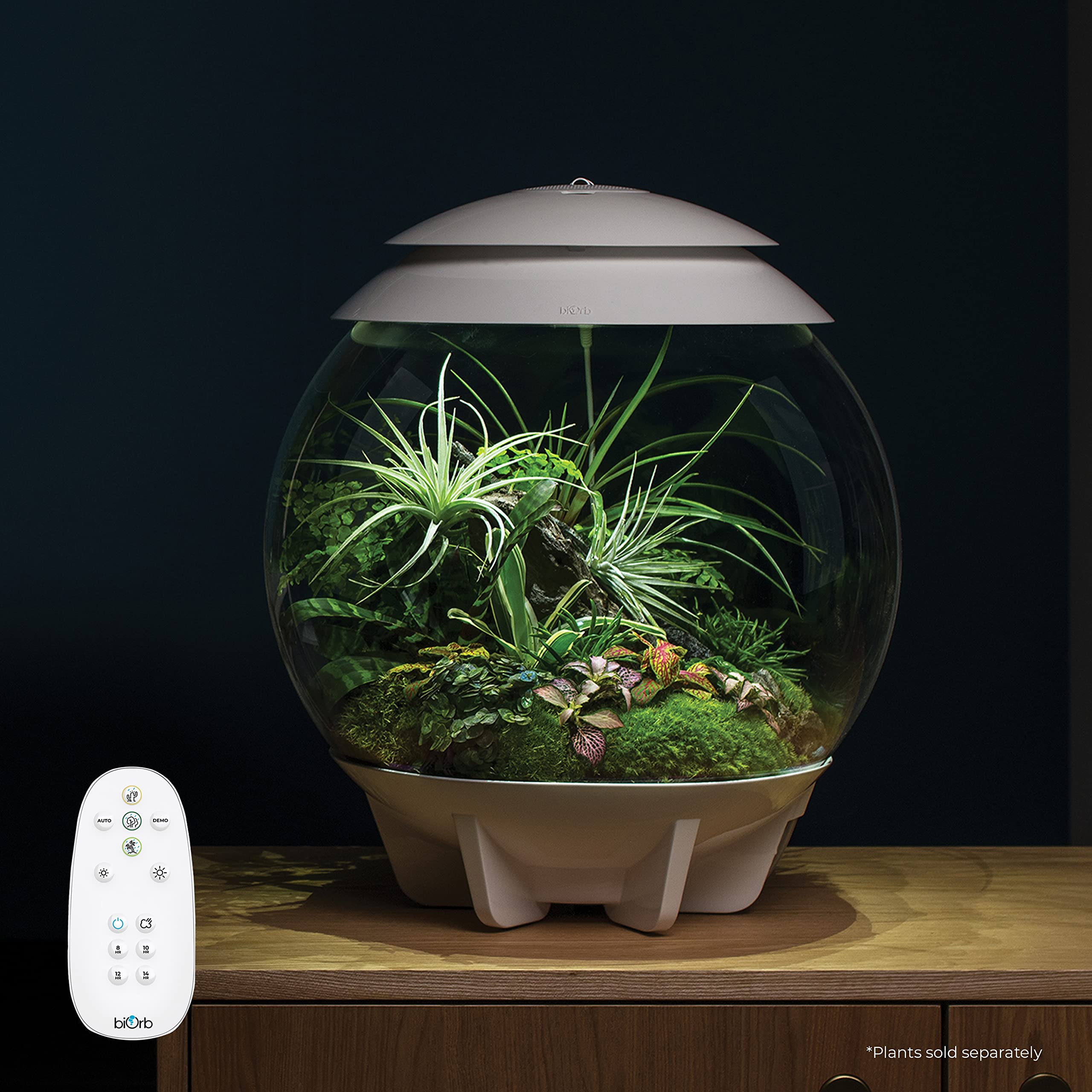 biOrb AIR 30, Fully Automated Terrarium for Arid, Temperate, or Tropical Plants, White