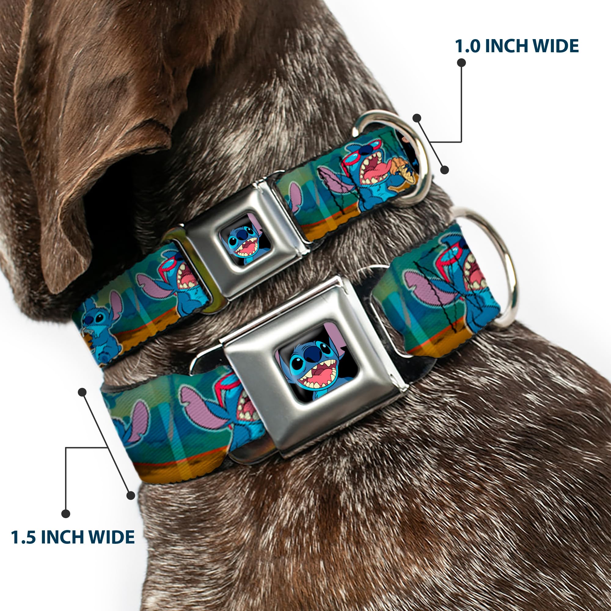 Dog Collar Seatbelt Buckle Lilo Stitch 5 Scene Blocks 11 To 17 Inches 1.0 Inch Wide